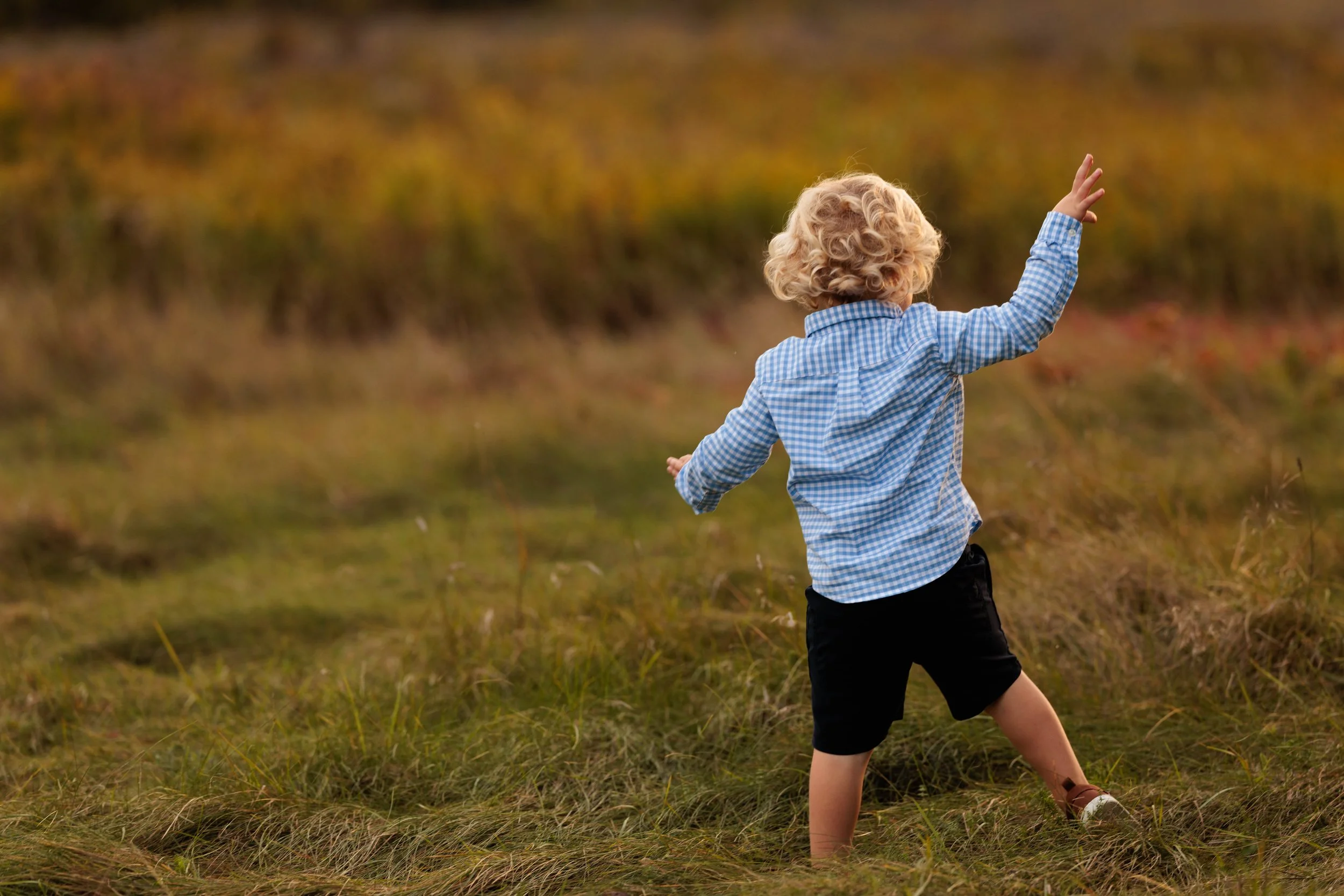 A young boy with curly blonde hair wearing a blue checkered shirt and black shorts stands in a grassy field with his back to the camera, reaching out with his right hand.
