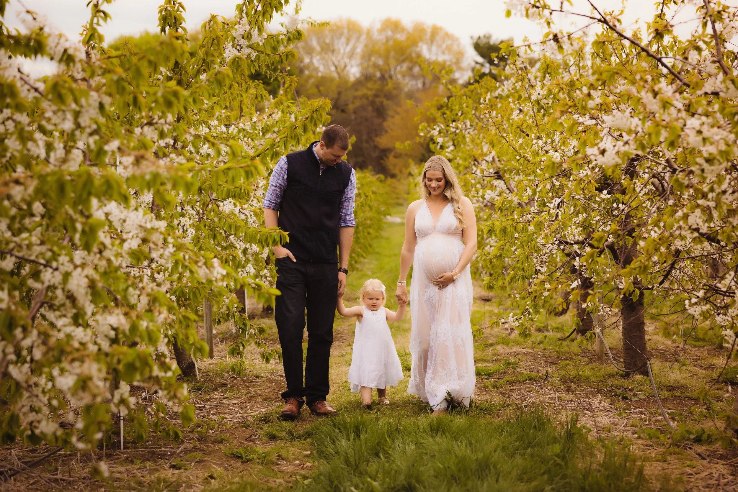 A pregnant woman, her partner, and a young girl walking through a blossoming orchard in spring, holding hands and smiling.