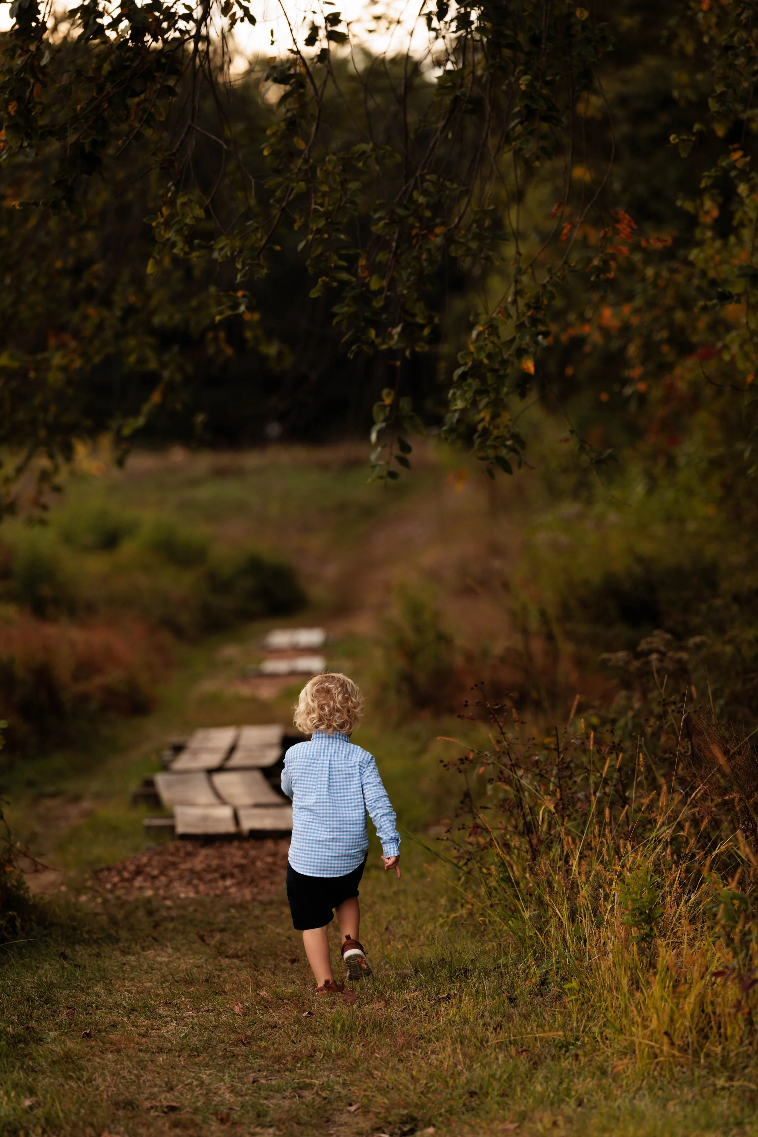 A young boy with curly blond hair, wearing a blue checkered shirt and black shorts, walking away on a dirt trail surrounded by trees and plants during sunset.