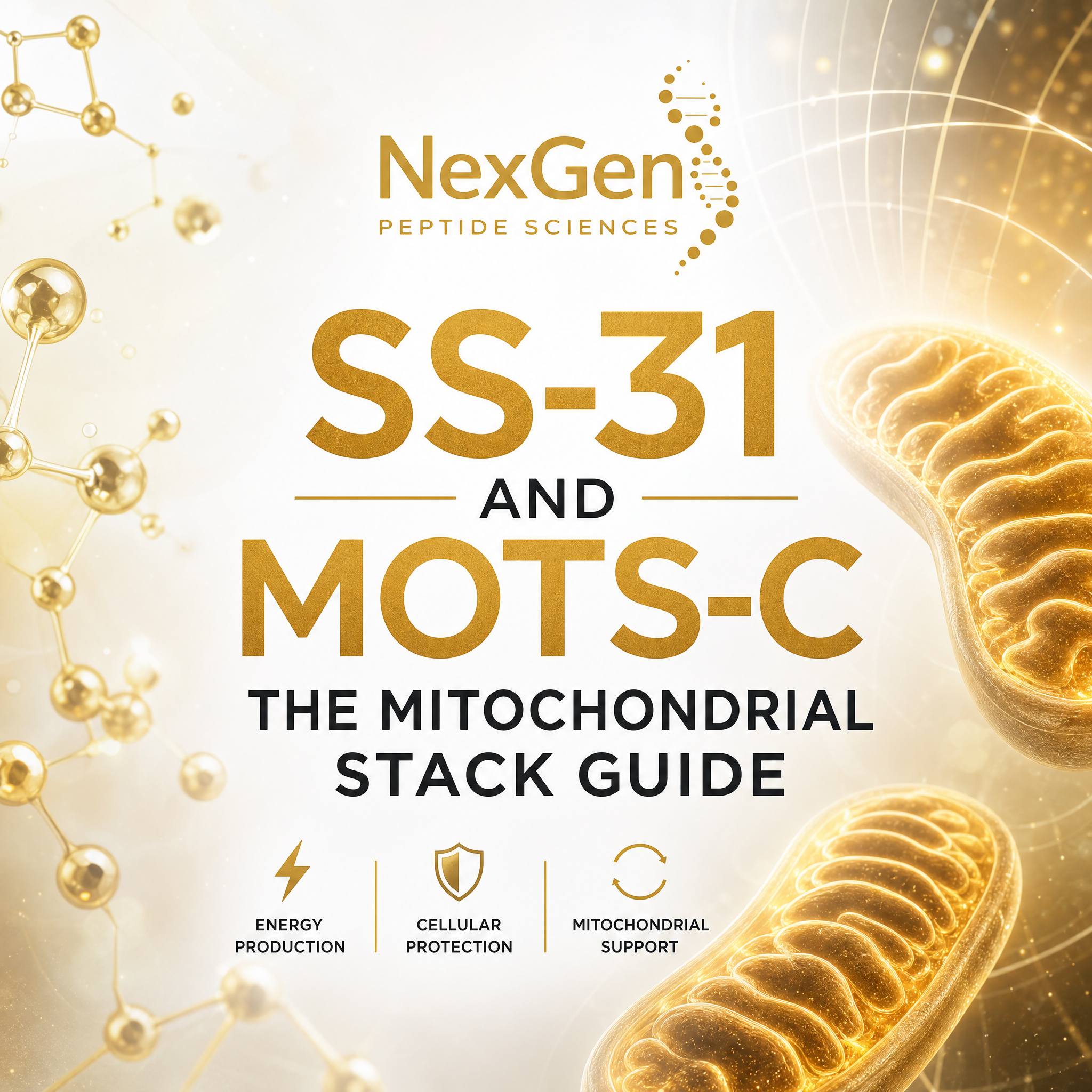 SS-31 and MOTS-C: The Mitochondrial Stack Guide
