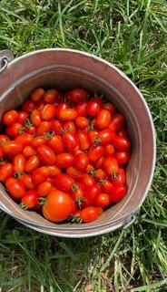 Screenshot 2026-03-16 at 6.17.39 PM.jpeg