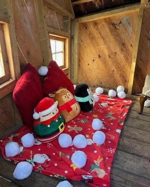 #brightstarcls 
Our Santas grotto is open until 4pm today for all Bright Star Nursery children 🤩