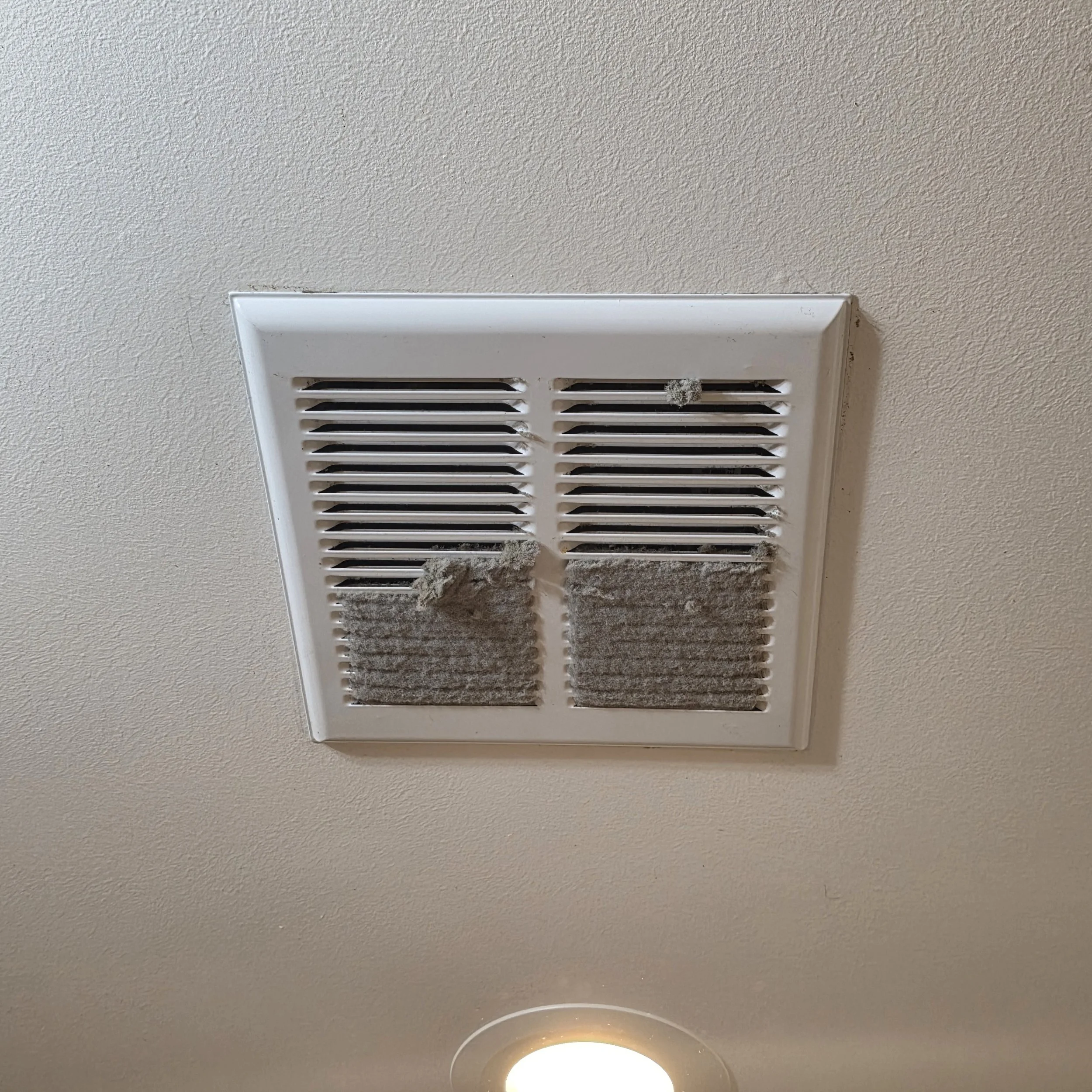 Carmen's House Cleaning Services (20).jpg