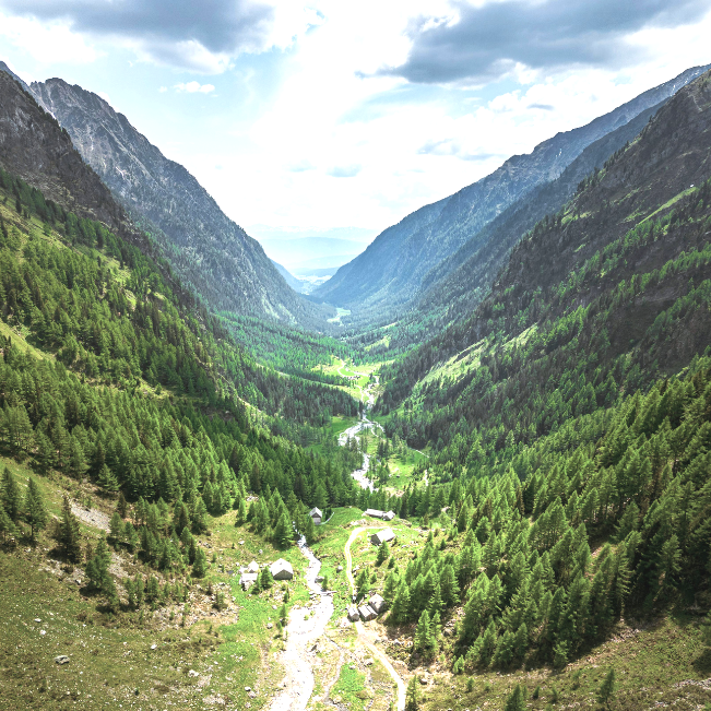 EMDR therapy for processing and healing trauma experiences