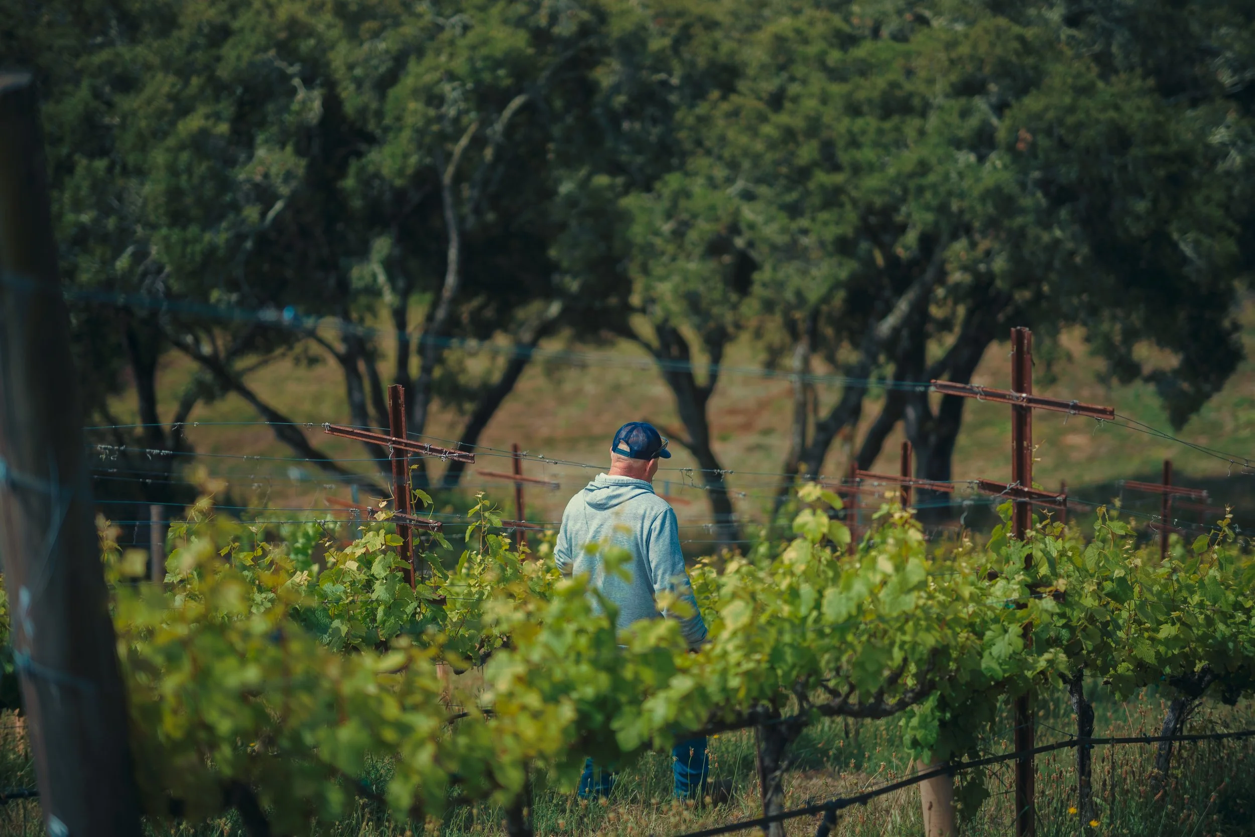 L1010336.jpeg