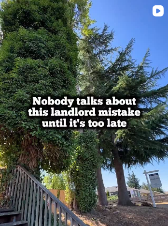 Nobody Talks About This Landlord Mistakes Until It’s Too Late