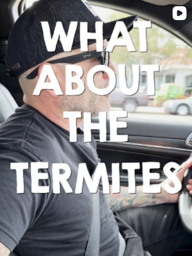 Don't Let a Termite Report Kill Your Deal