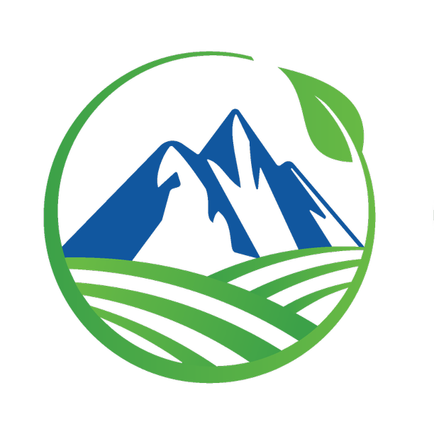 Merchant Funding Services