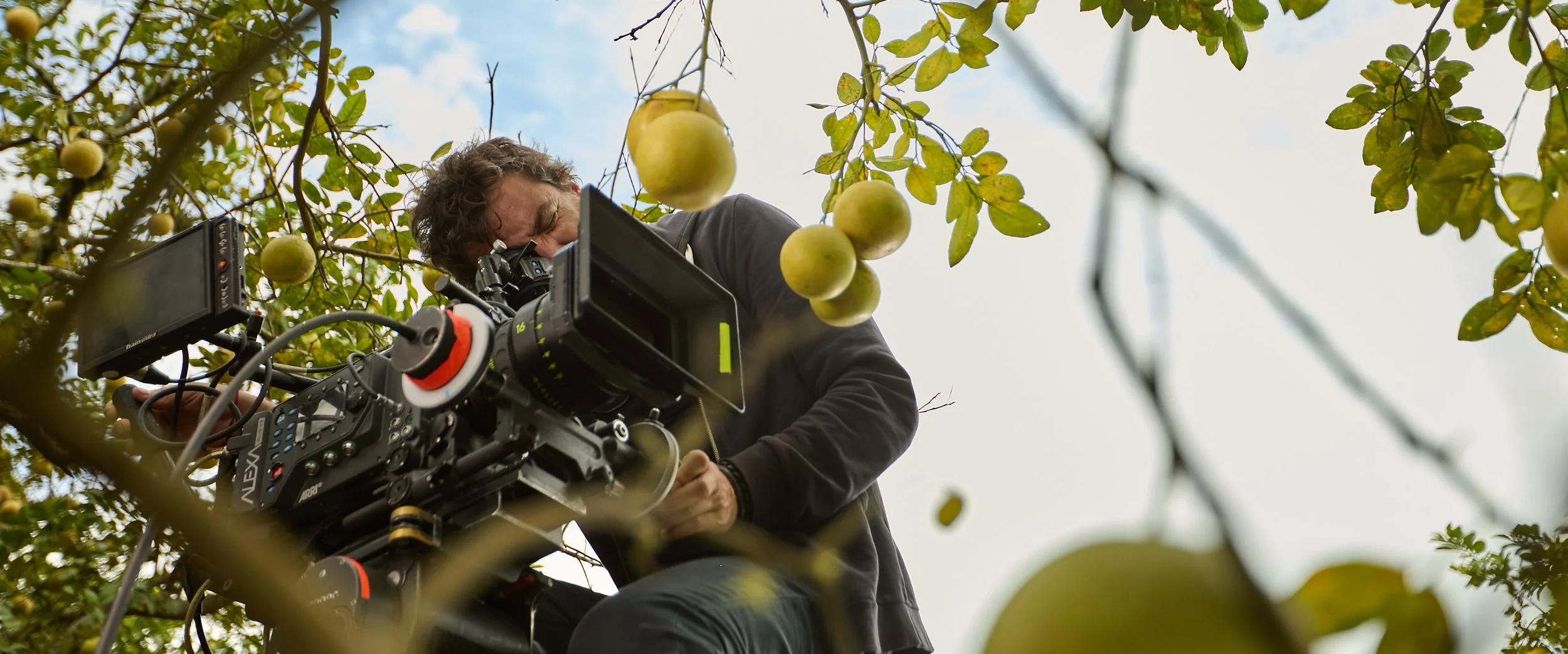 141014_grm_0276_JPEG_sRGB (3000 72ppp).jpg