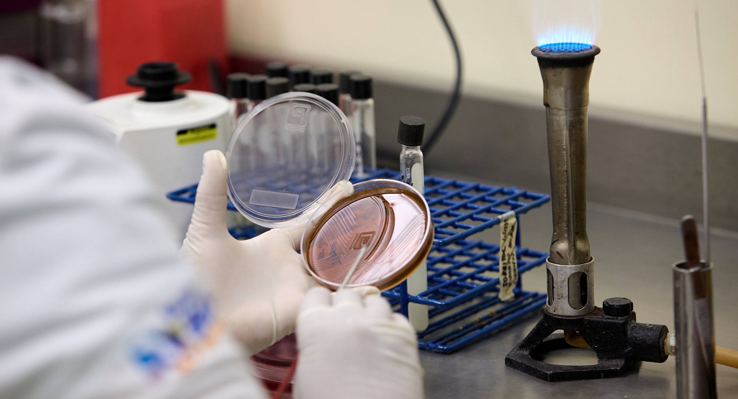 150722_grm_0129_JPEG_sRGB (3000 72ppp).jpg