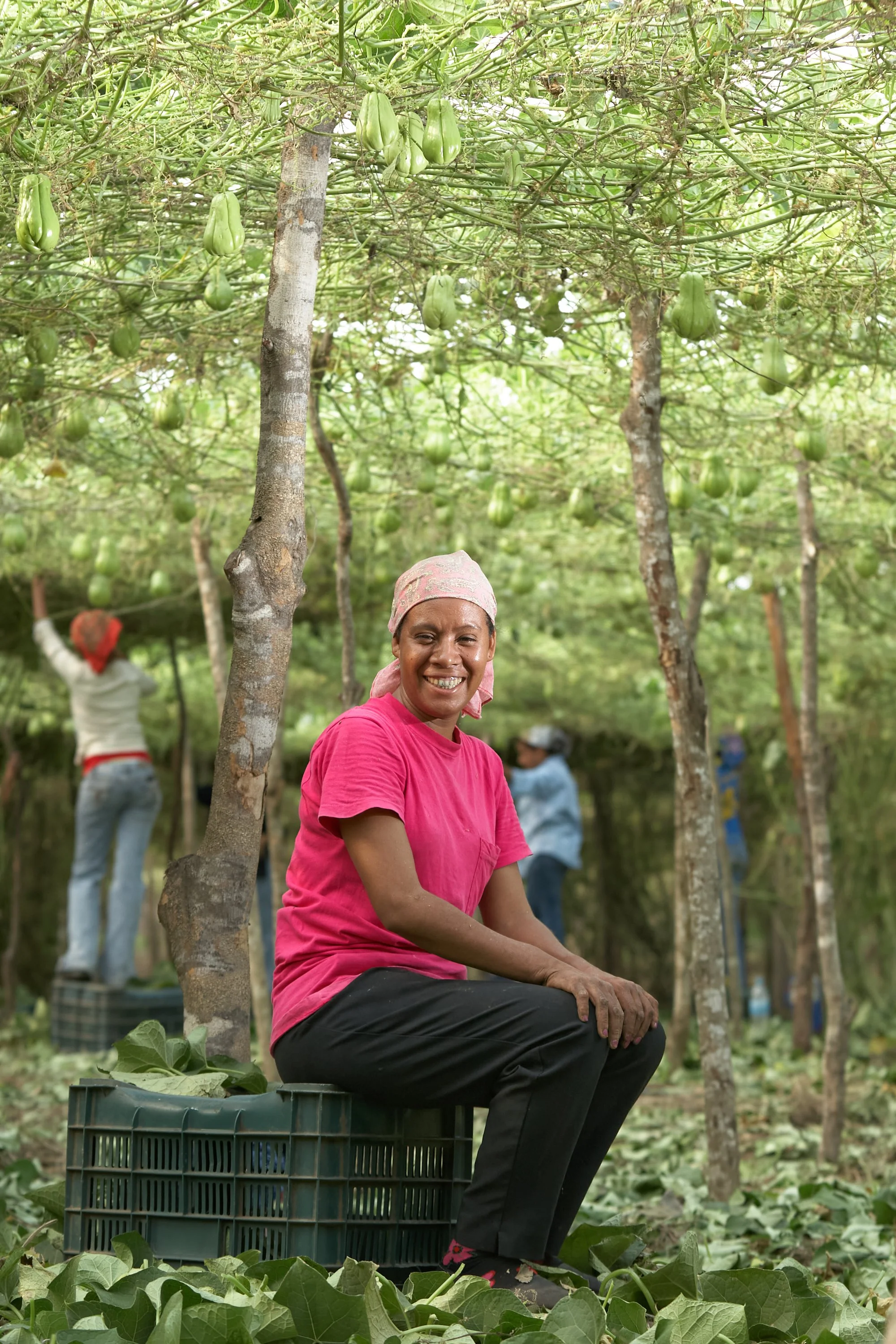 090504_grm_0227_JPEG_sRGB (3000 72ppp).jpg