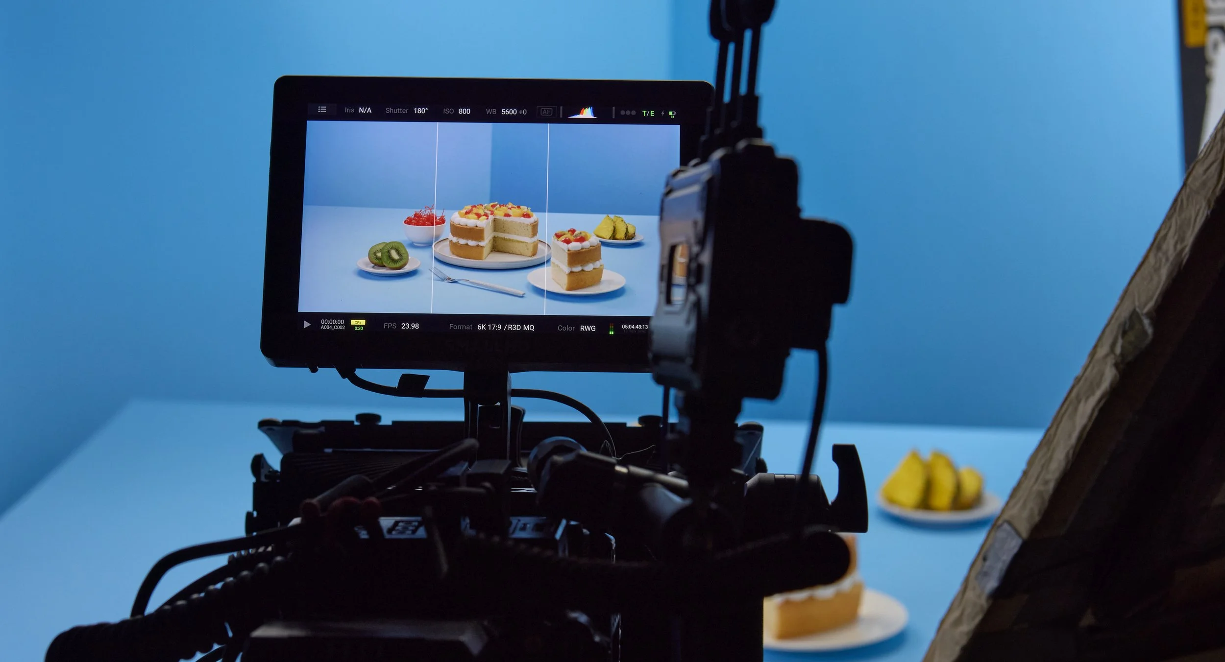 20250926_GRM5252_JPEG_sRGB (3000 72ppp).jpg