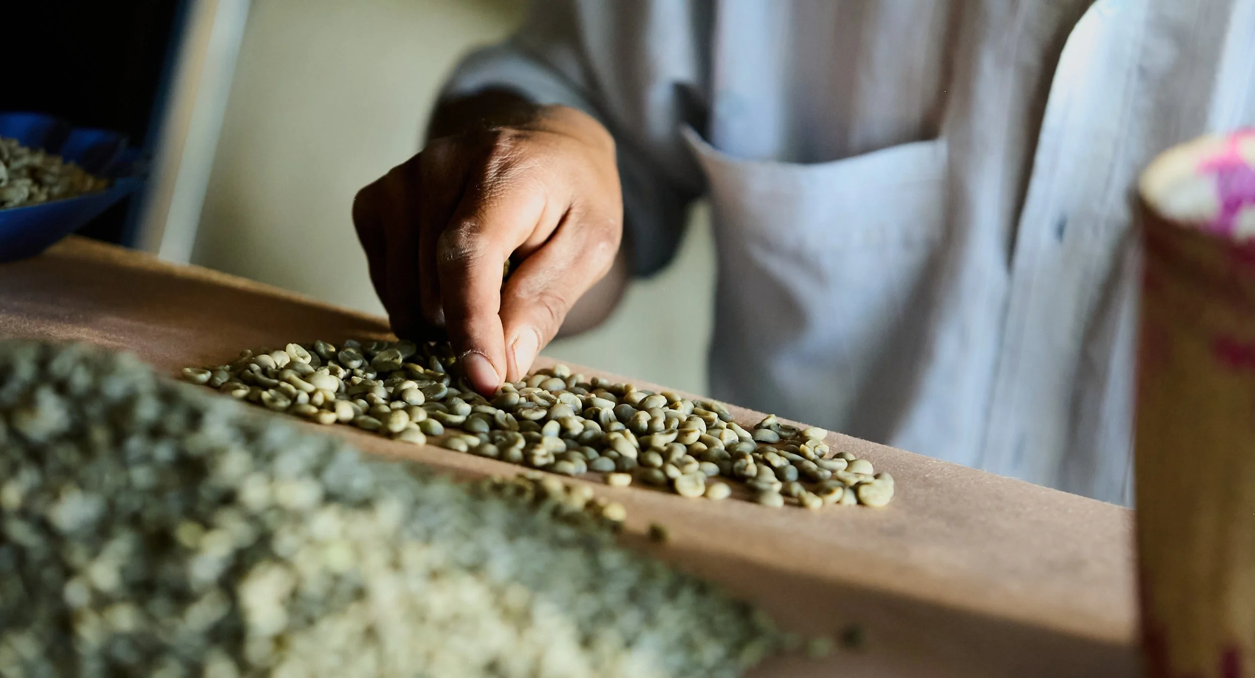 100423_grm_0106_JPEG_sRGB (3000 72ppp) 1.jpg