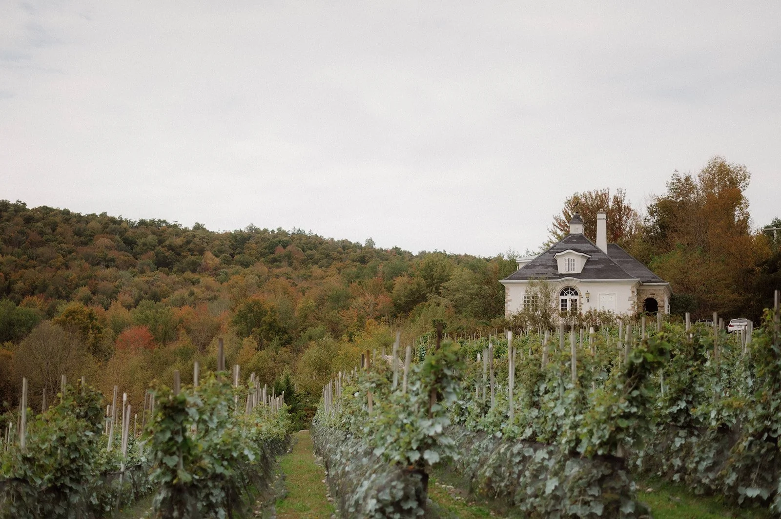 Photo by Myriam Menard