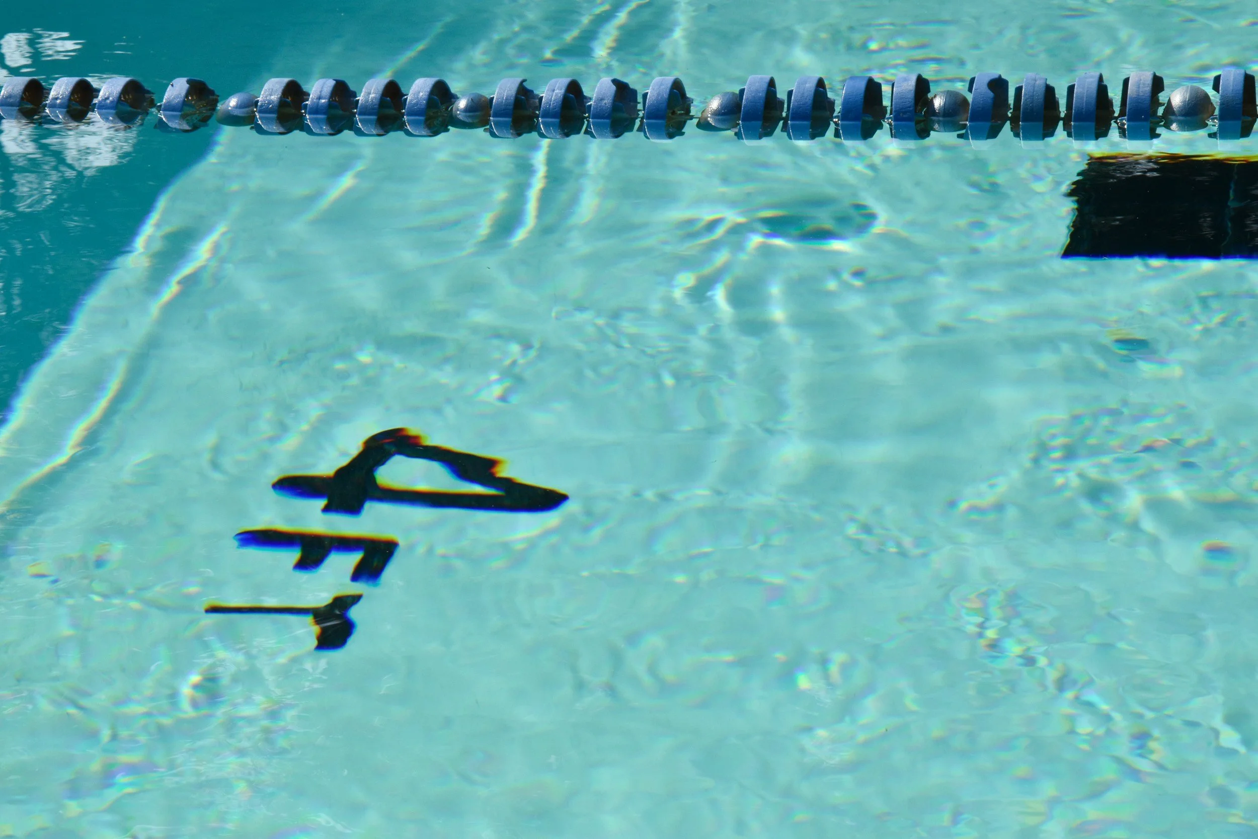 A swimming pool with a lane marker and a shadow of a swimmer on the water surface.