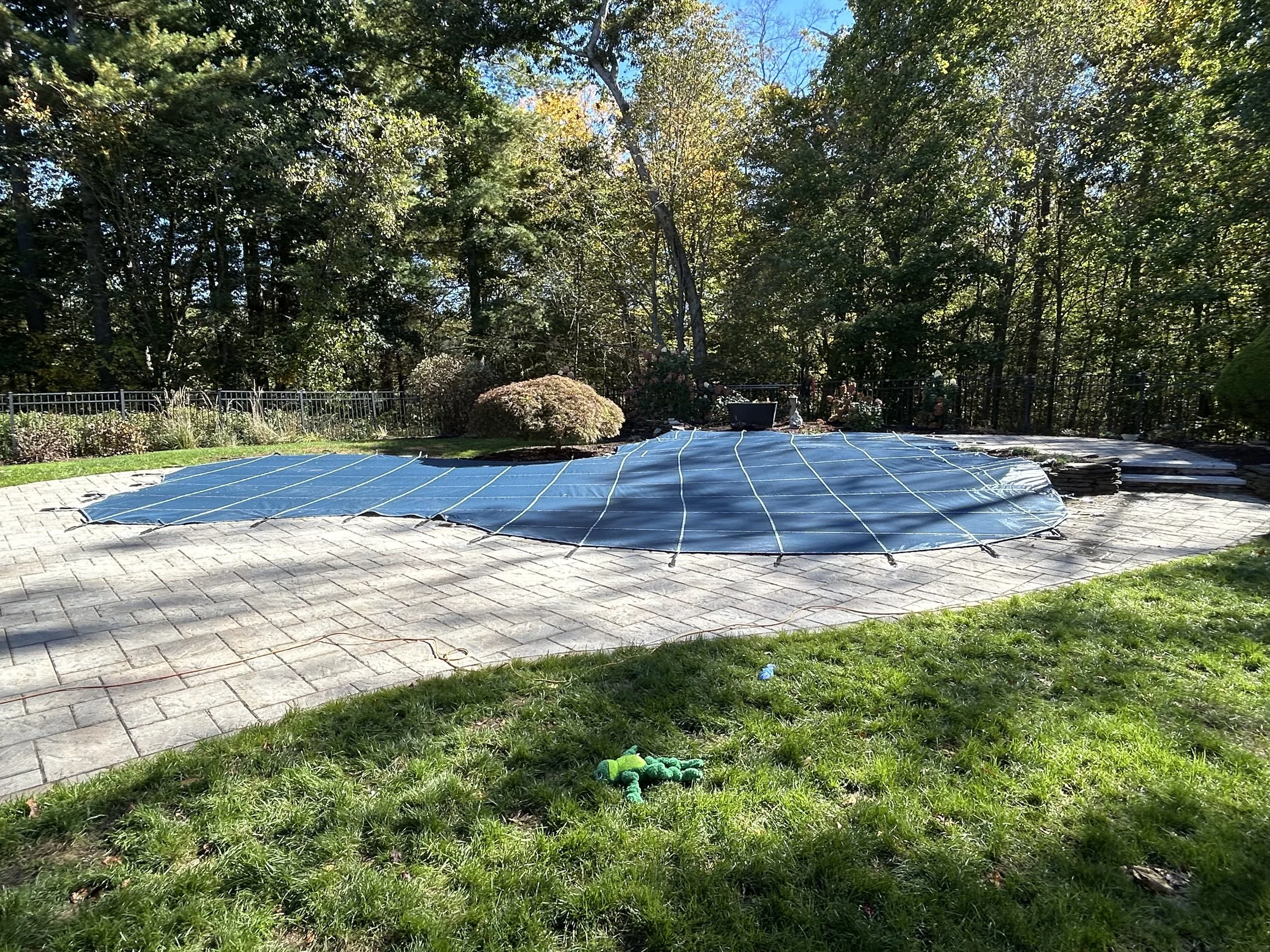 Swimming pool covered with a blue safety net in a backyard with stone patio and green grass, surrounded by trees and shrubs.