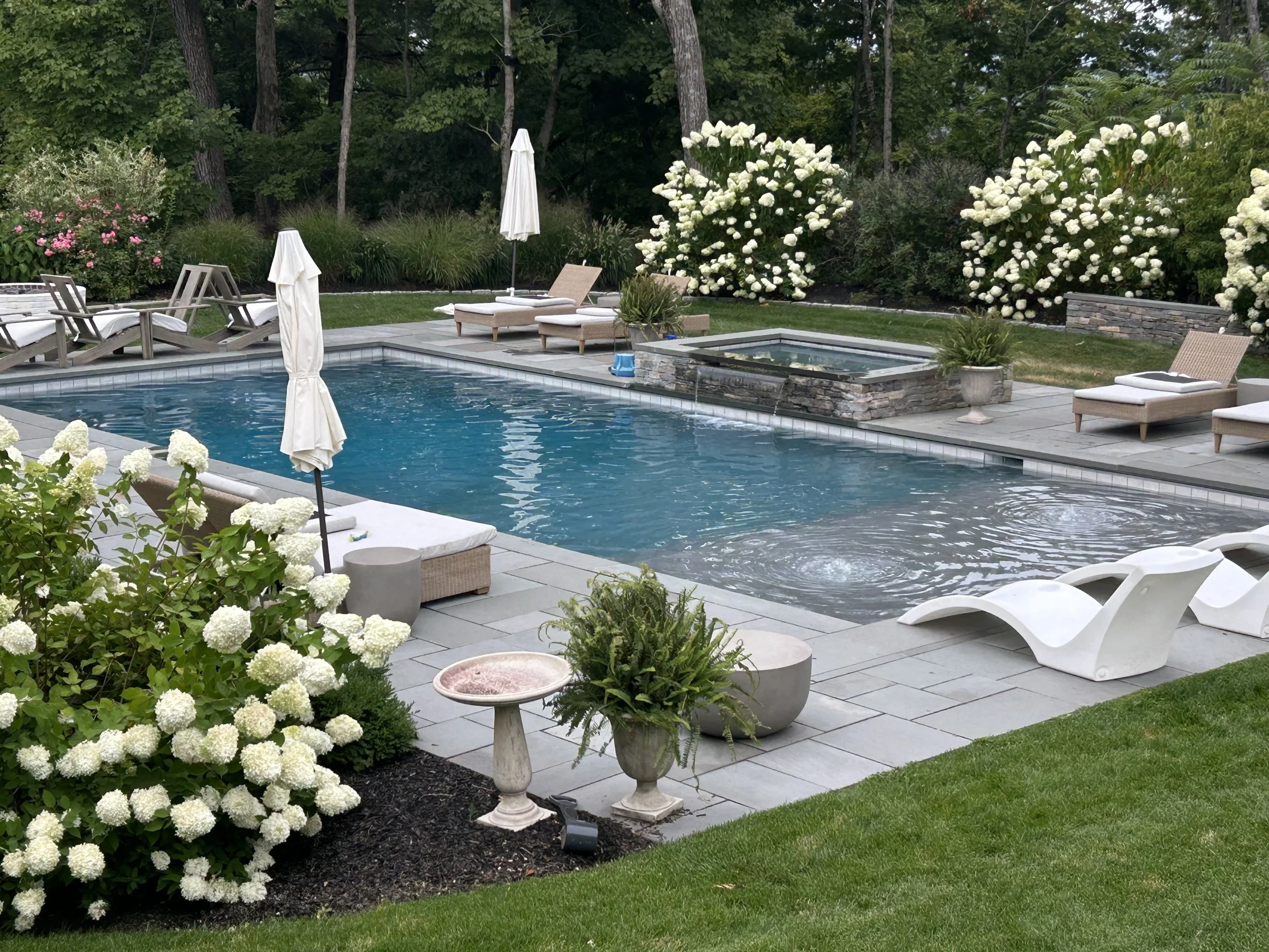 Beautiful backyard with a swimming pool, white lounge chairs, umbrellas, and lush greenery with flowering bushes.
