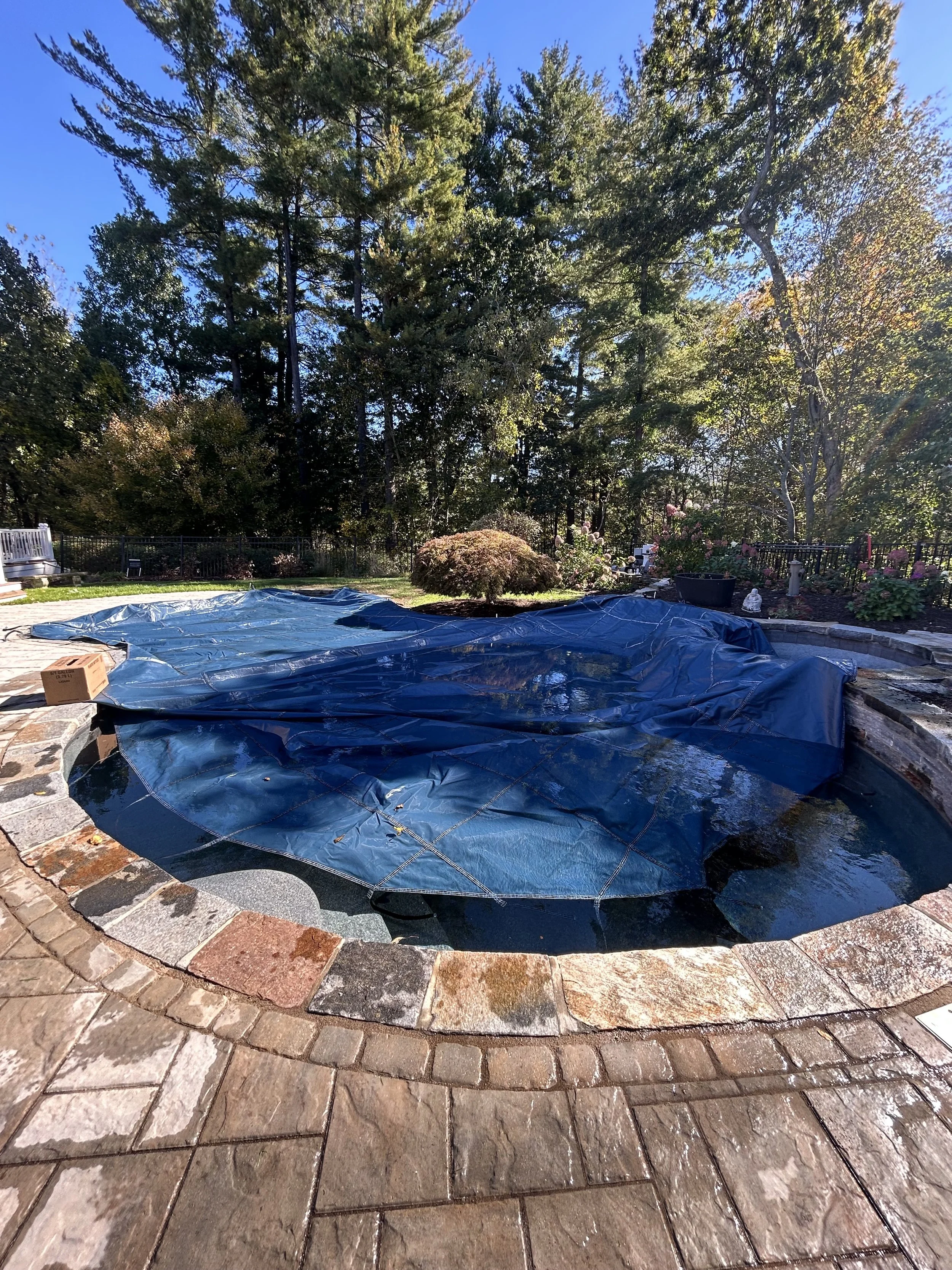 A backyard pool covered with a blue pool cover, surrounded by a stone patio and lush trees and plants in the background.