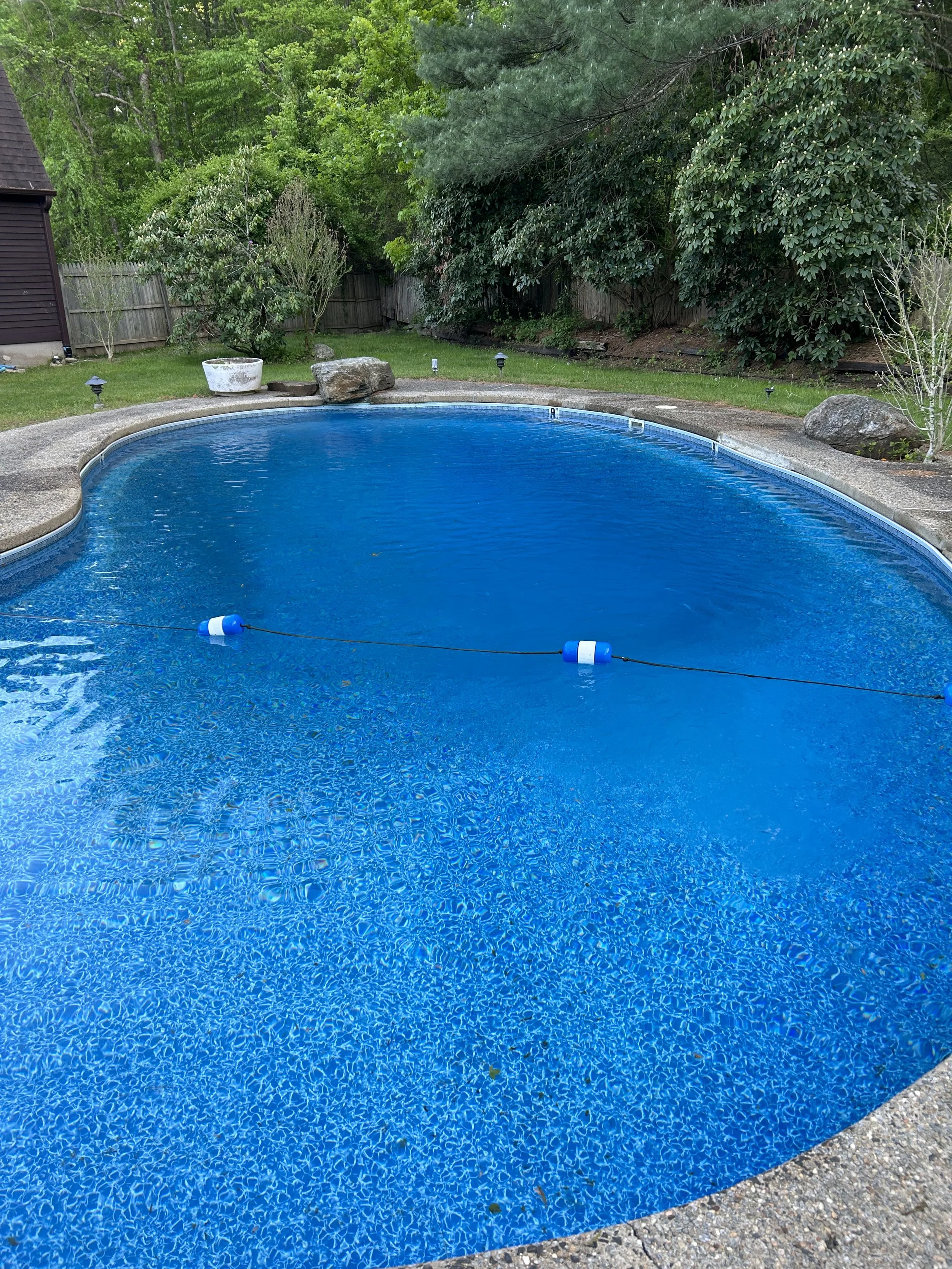 An outdoor backyard with a blue in-ground swimming pool surrounded by a concrete deck, with trees and shrubs in the background.