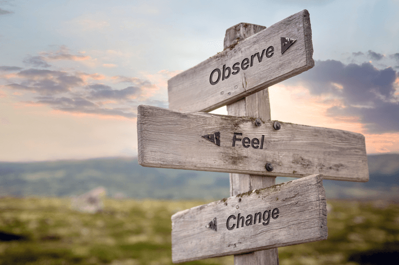 Wooden signpost with three arrows labeled 'Observe,' 'Feel,' and 'Change' against a scenic landscape with hills and a cloudy sky at sunset.