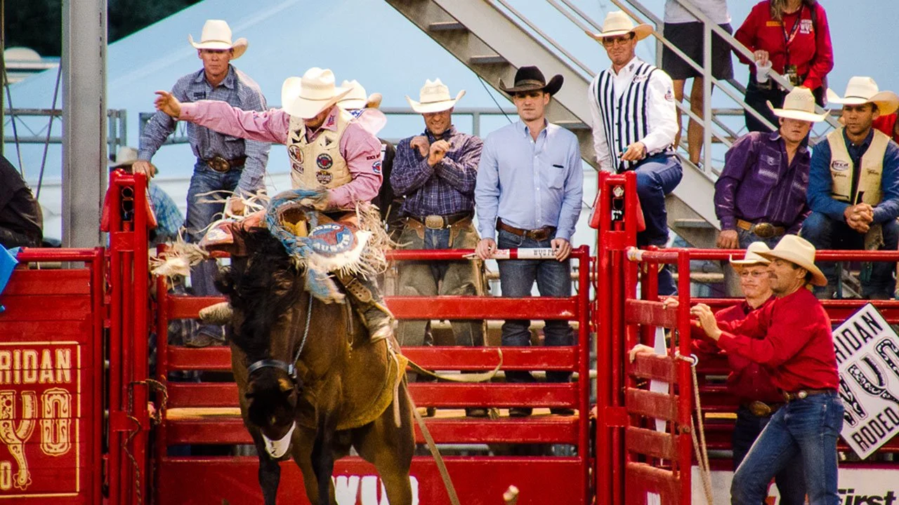 Bronc riding at the Sheridan WYO Rodeo — 95th annual PRCA rodeo Sheridan Wyoming
