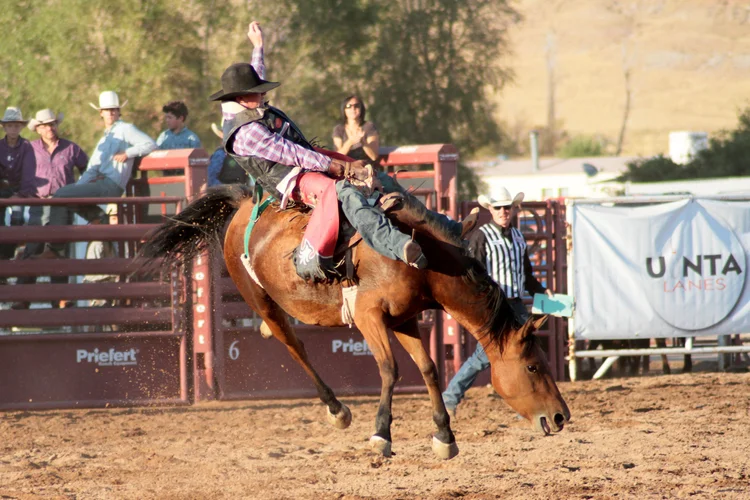 Saddle bronc riding, Wyoming rodeo
