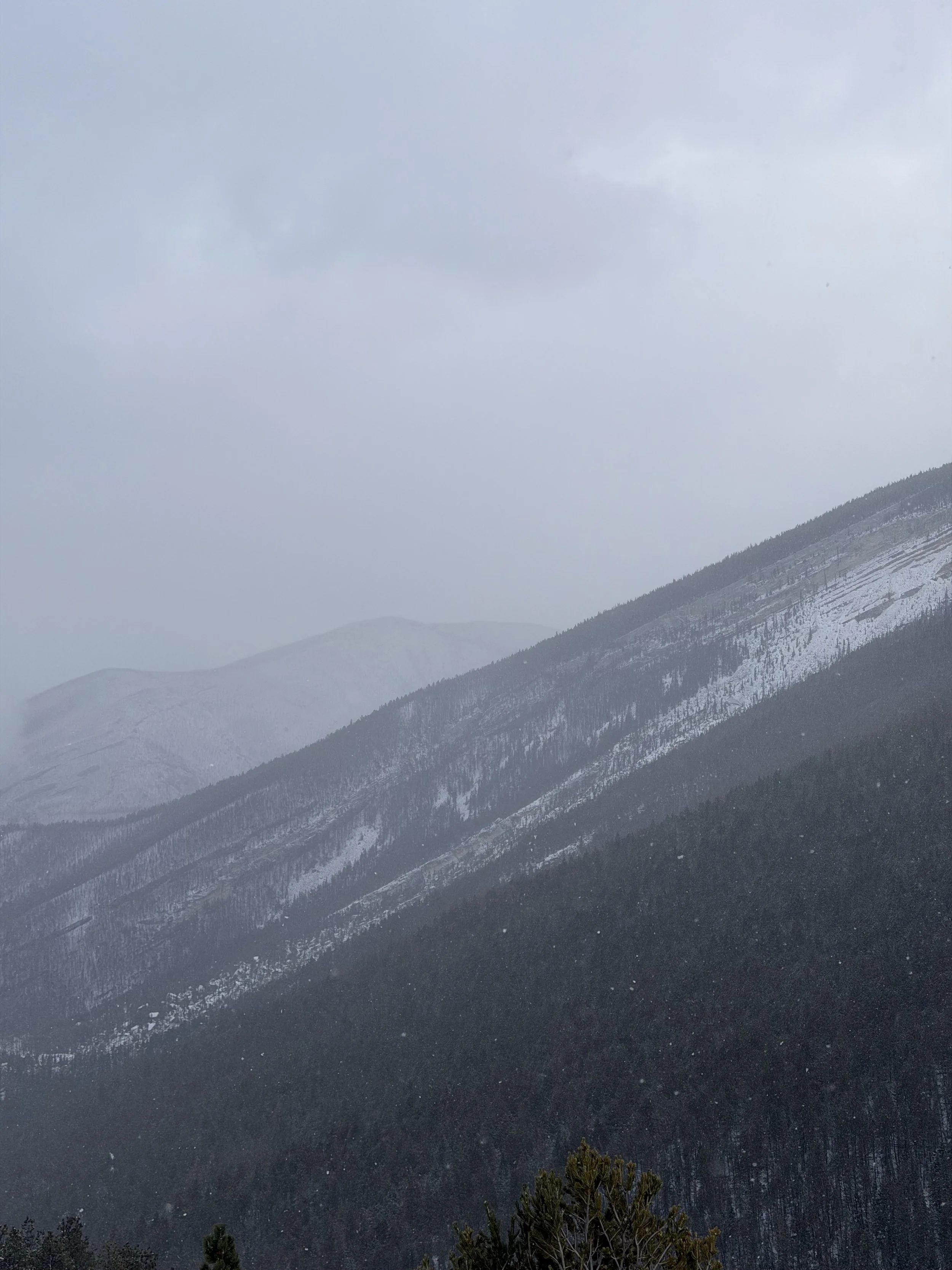The Big Horn Mountains outside of Dayton WYoming on a snowy winter day