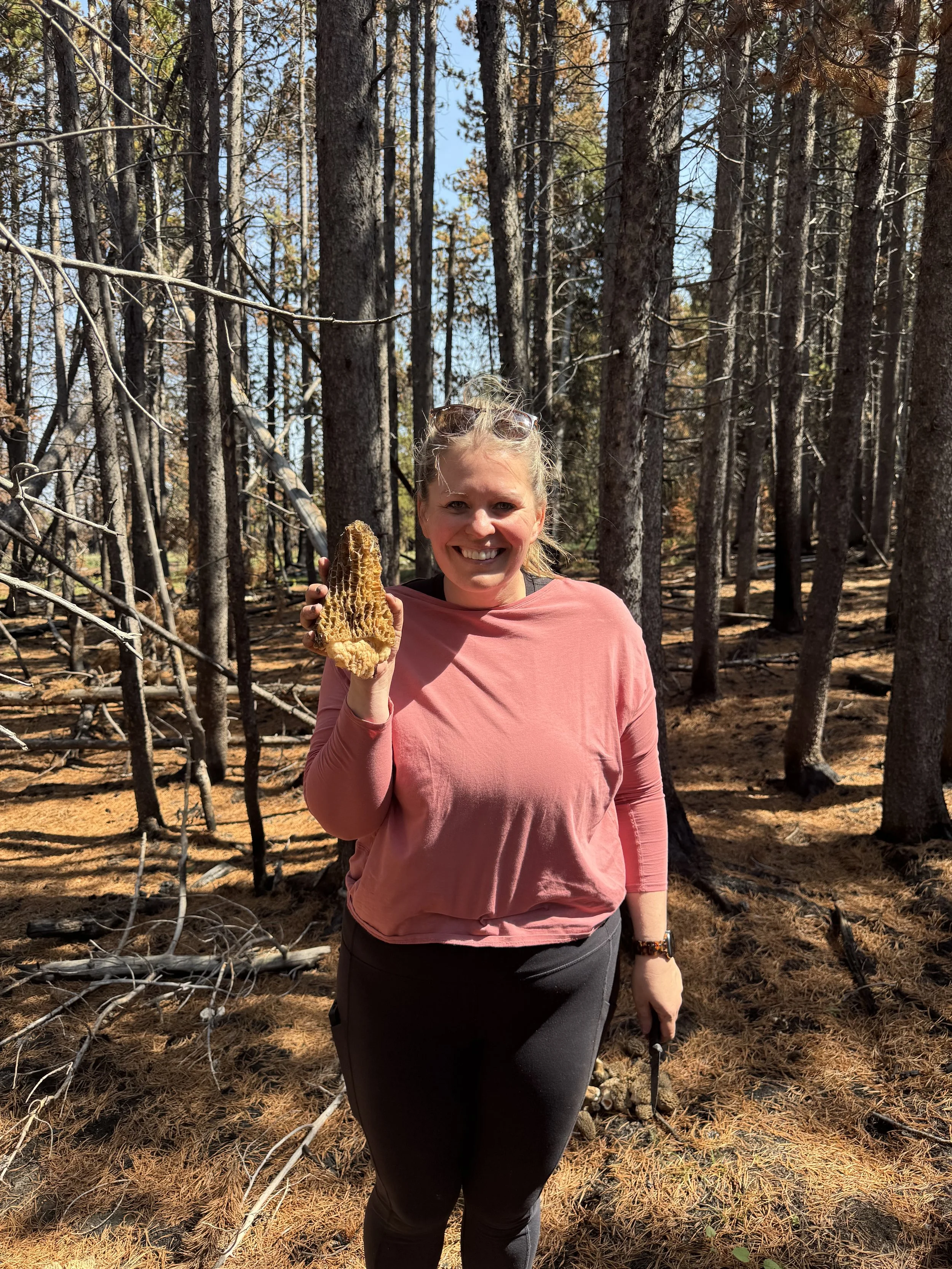 Woman foraging morel mushrooms in the Elk Fire burn area Big Horn Mountains Wyoming — spring foraging near Sheridan