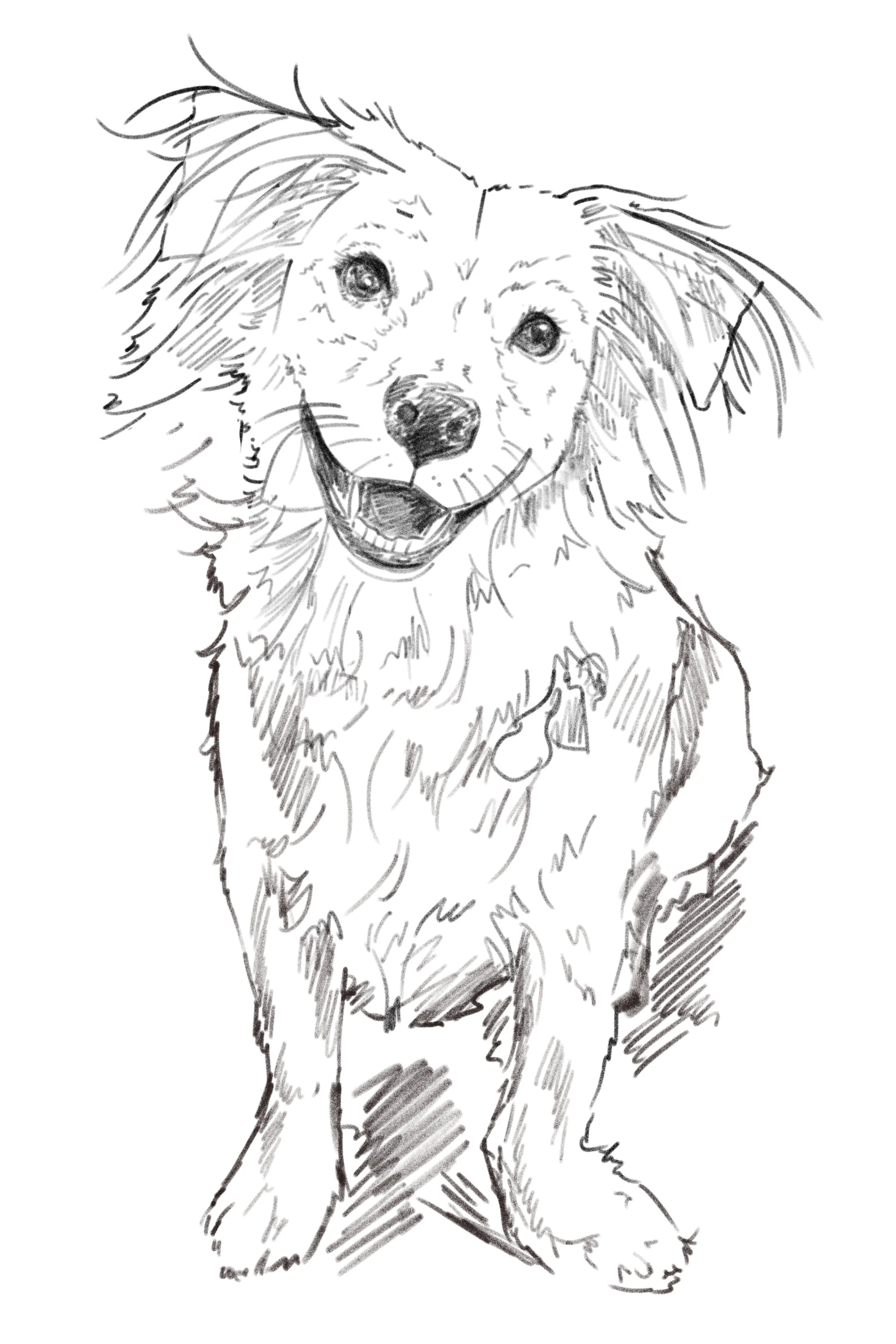 Ziggy 5.jpeg