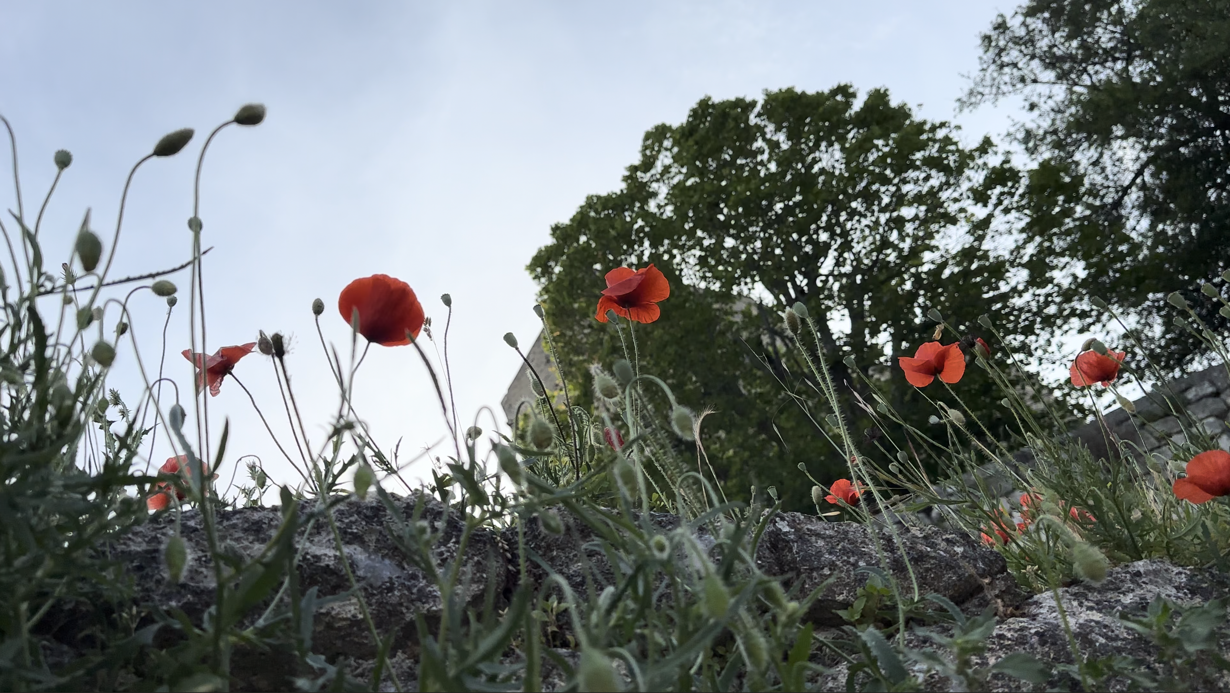 Screenshot 2026-03-09 at 17.33.52.png