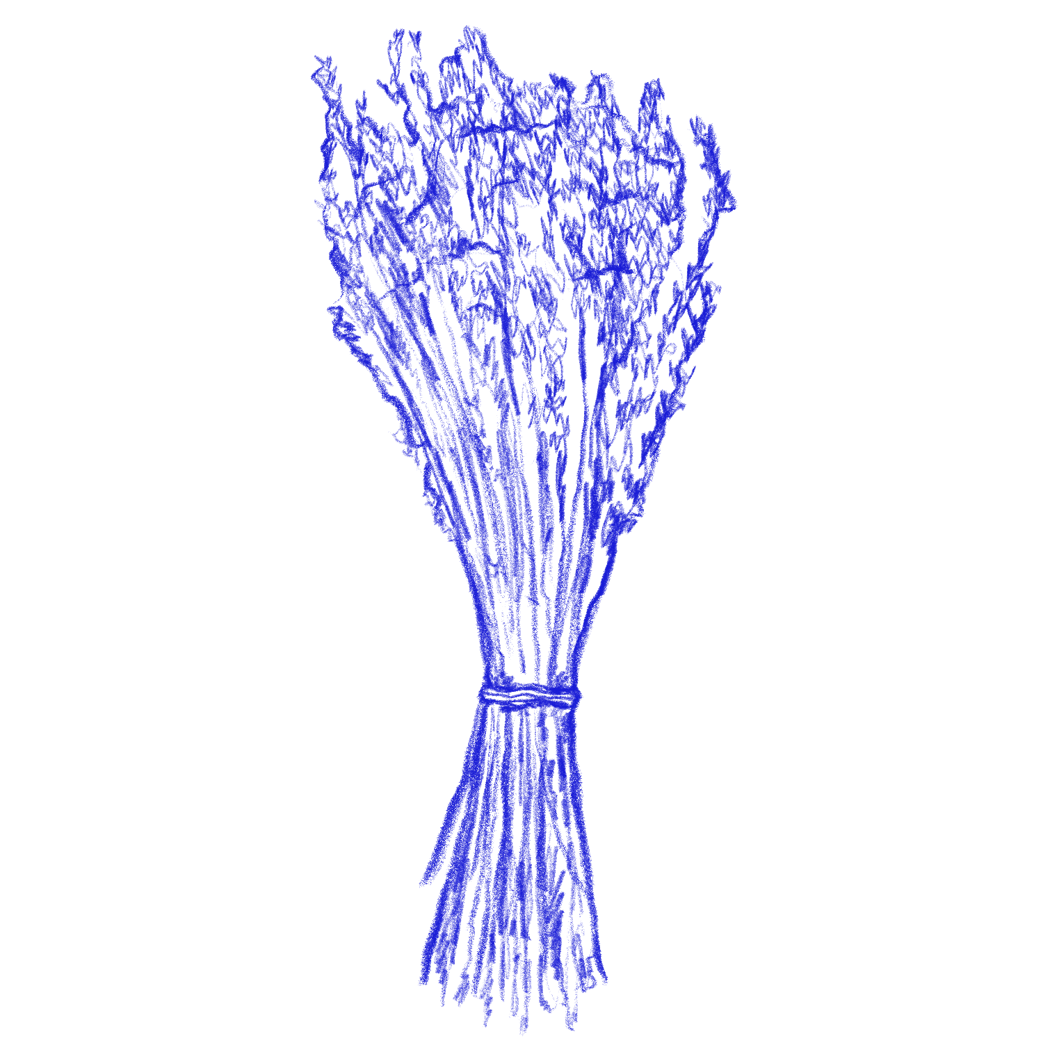 A digital illustration of a bundle of lavender flowers depicted in blue.