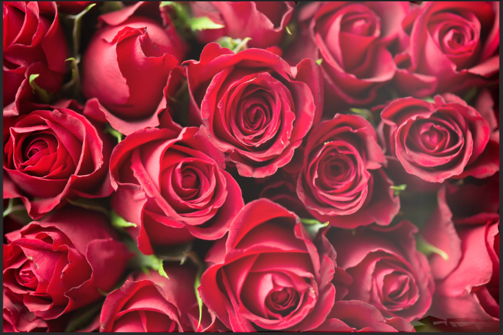 Custom Jewelry Piece Reservation