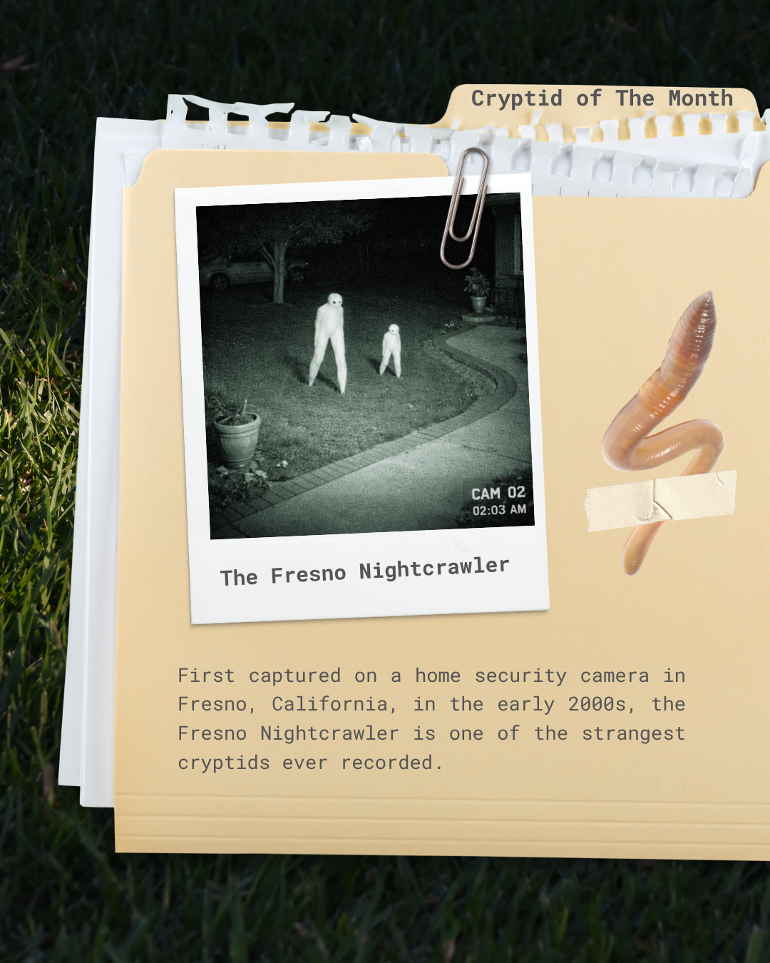 The Fresno Nightcrawler: California's Strangest Cryptid