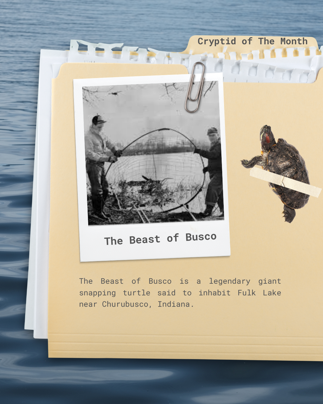 The Beast of Busco: Indiana’s Giant Turtle