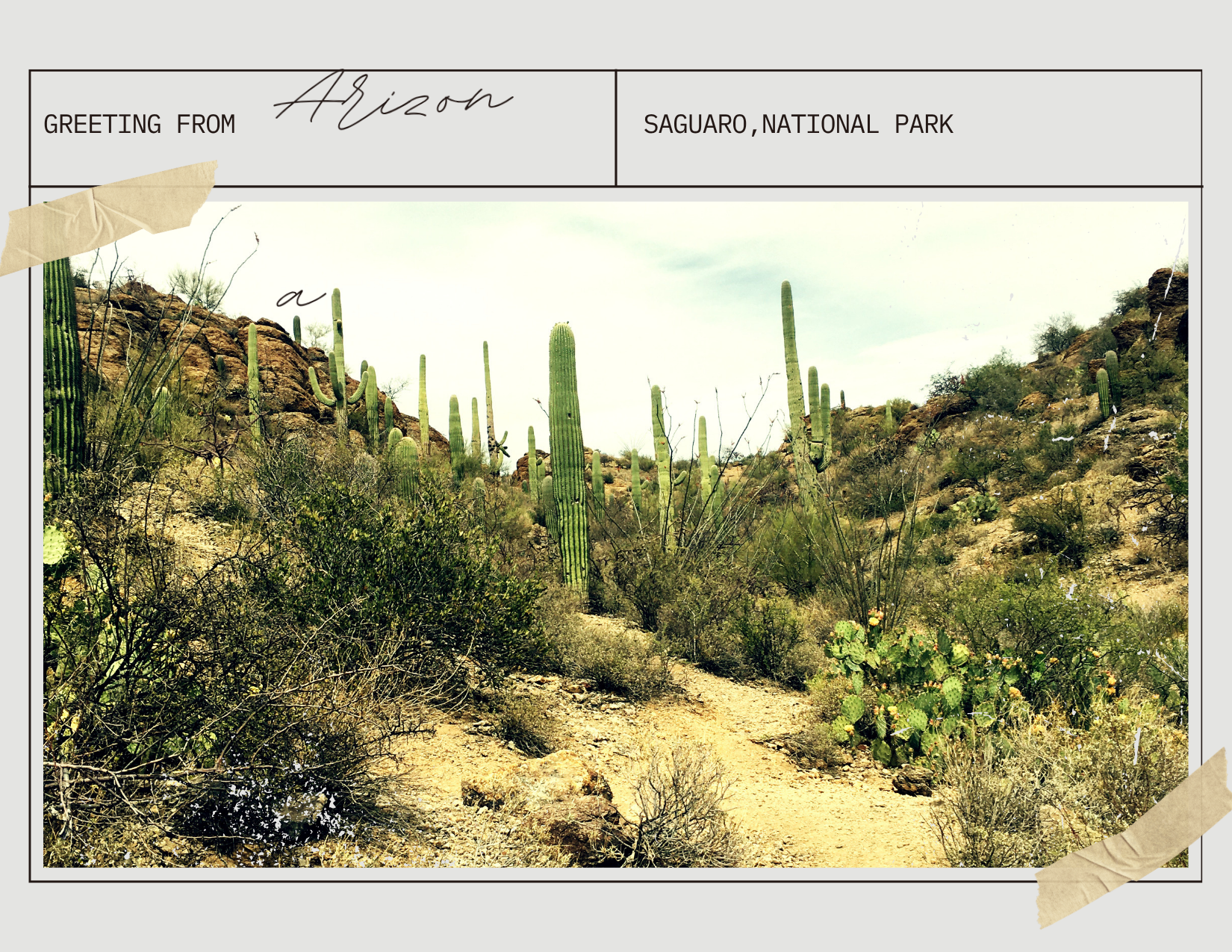 Tucson, Arizona
