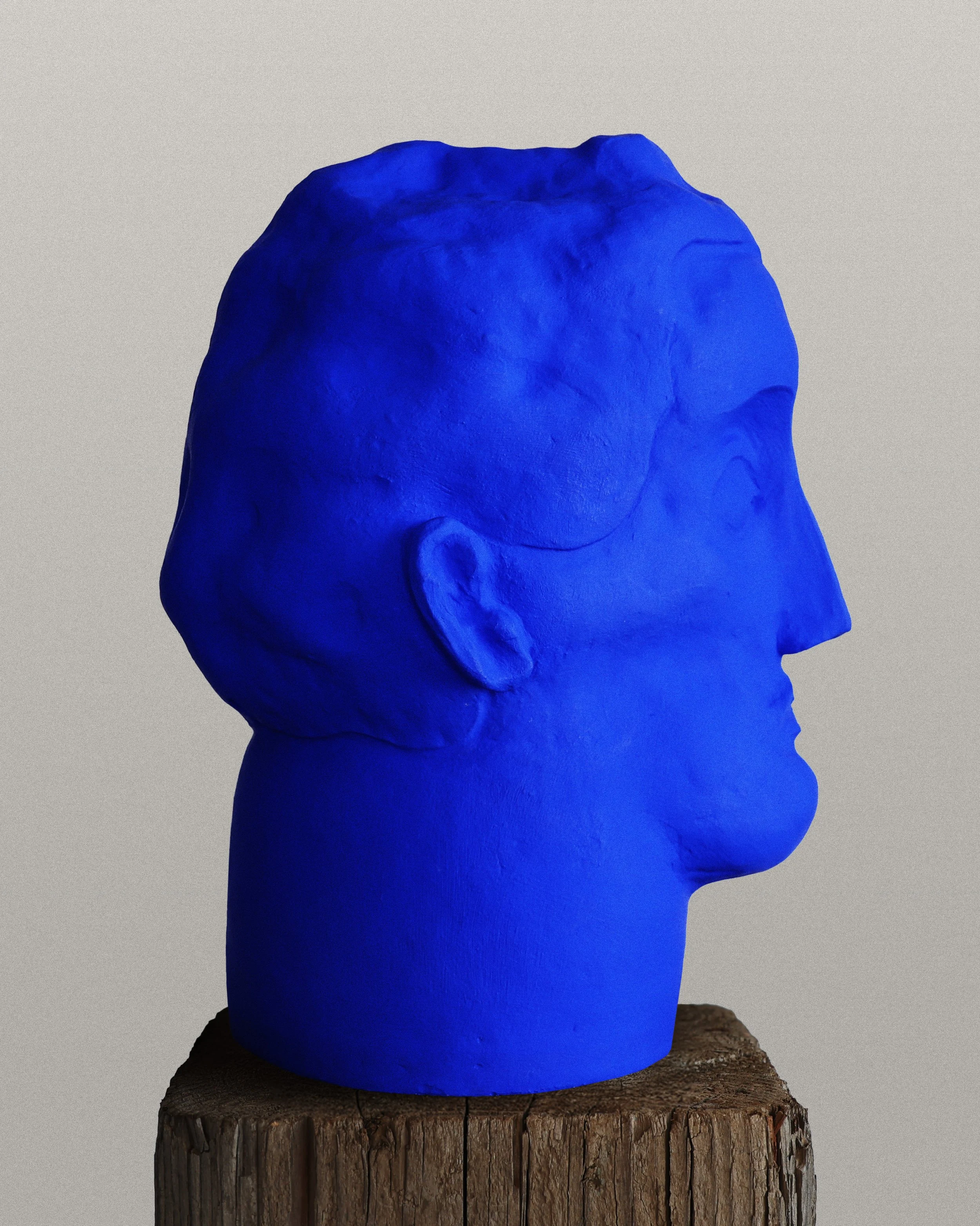Blue Headed Man 5.jpg