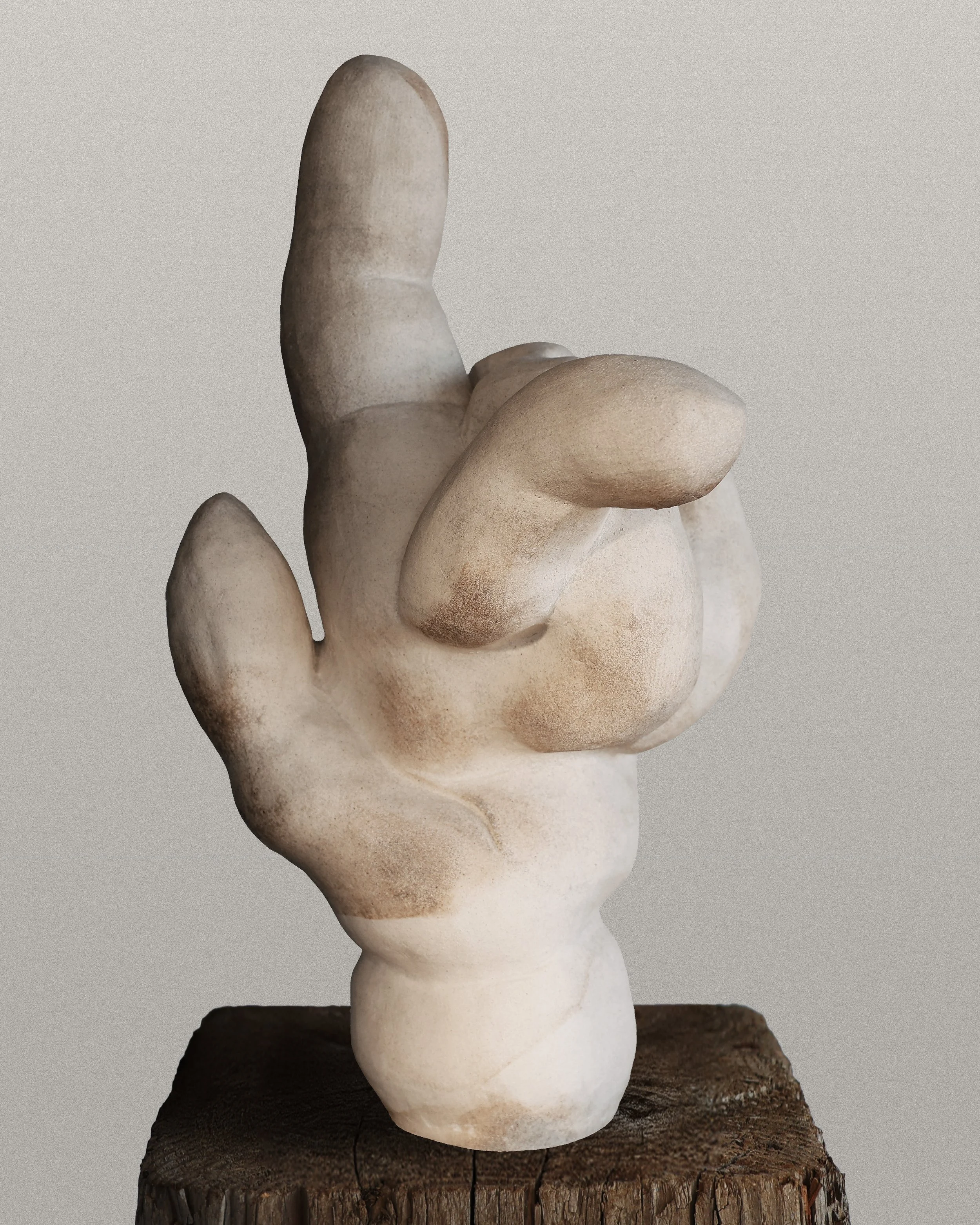 Gnarled Hand-4.jpg