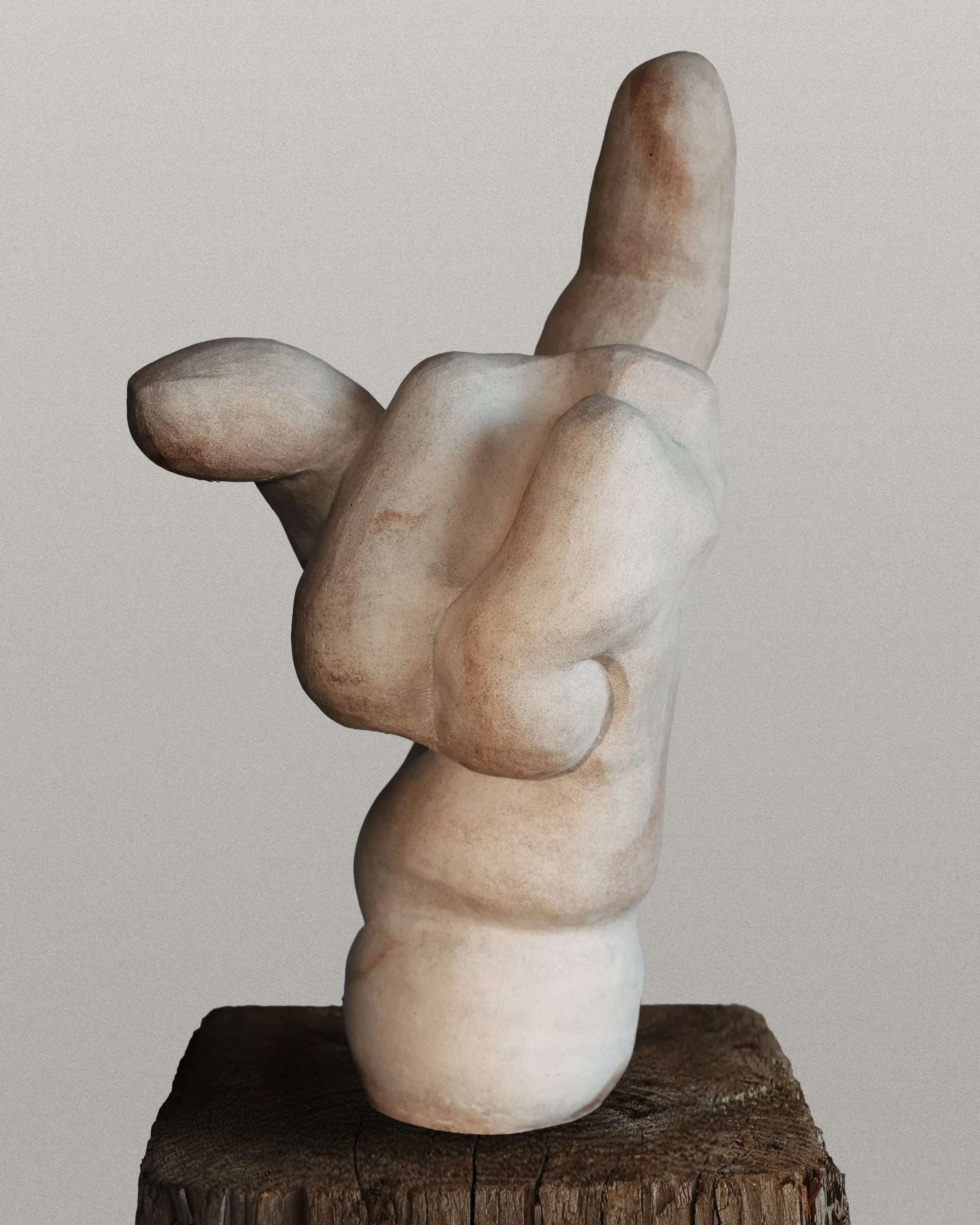 Gnarled Hand-2.jpg