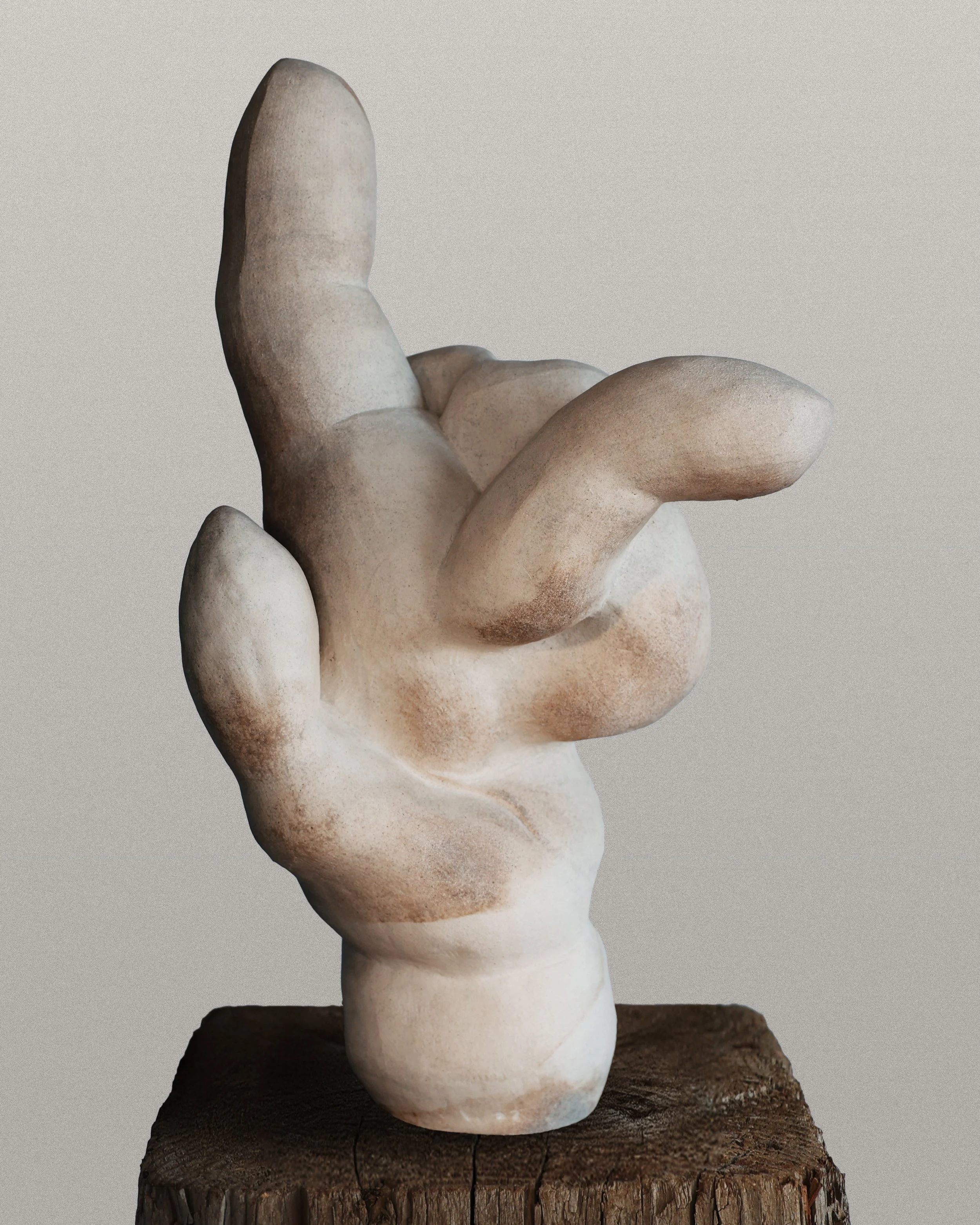 Gnarled Hand-1.jpg