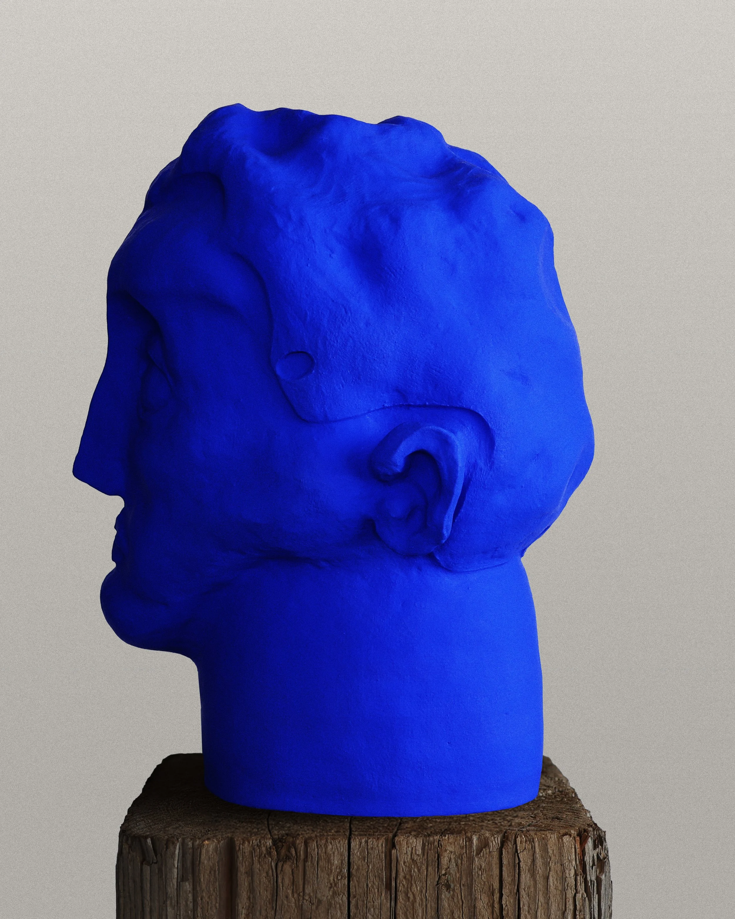 Blue Headed Man 3.jpg