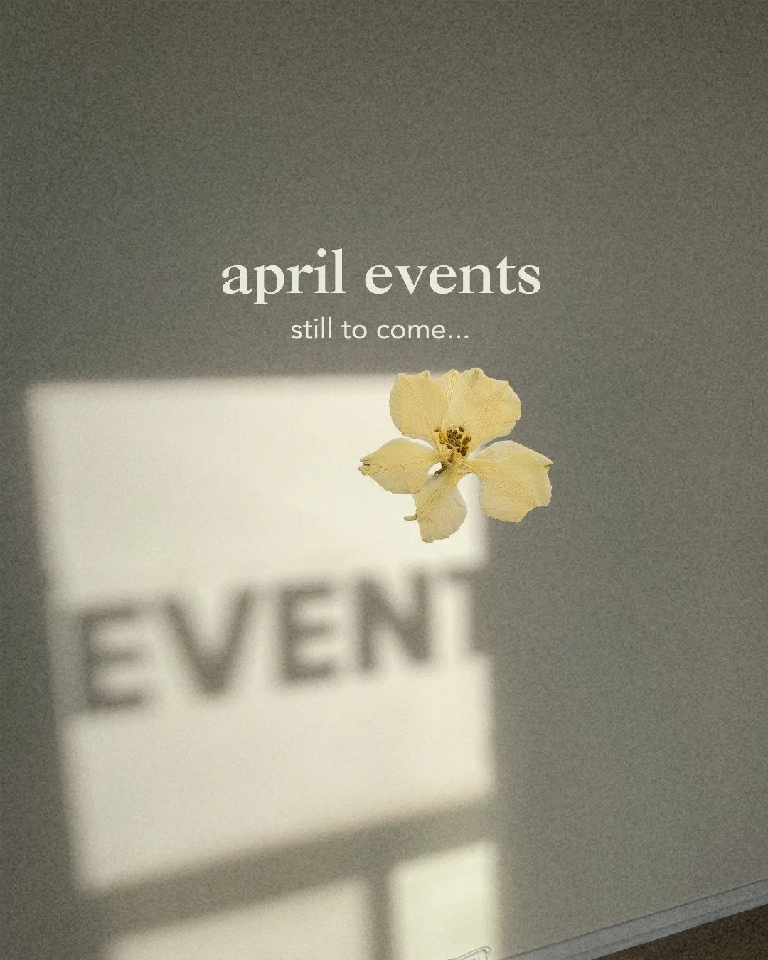 April is still blooming&mdash;and so are we. Join Studio Om for weekly wellness all month long. This month it's all about togetherness, without pressure. Craft cinema, silent reading rave, ai chats and community, plus a little warm house brewed tea t