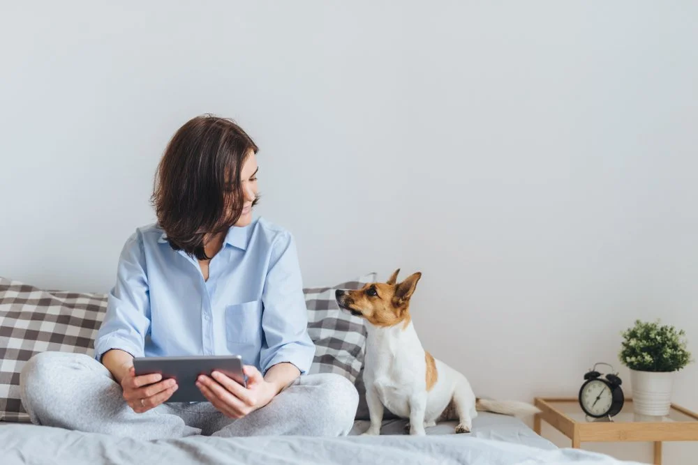 Therapy Is the New Six-Pack (A Seattle Love Story)