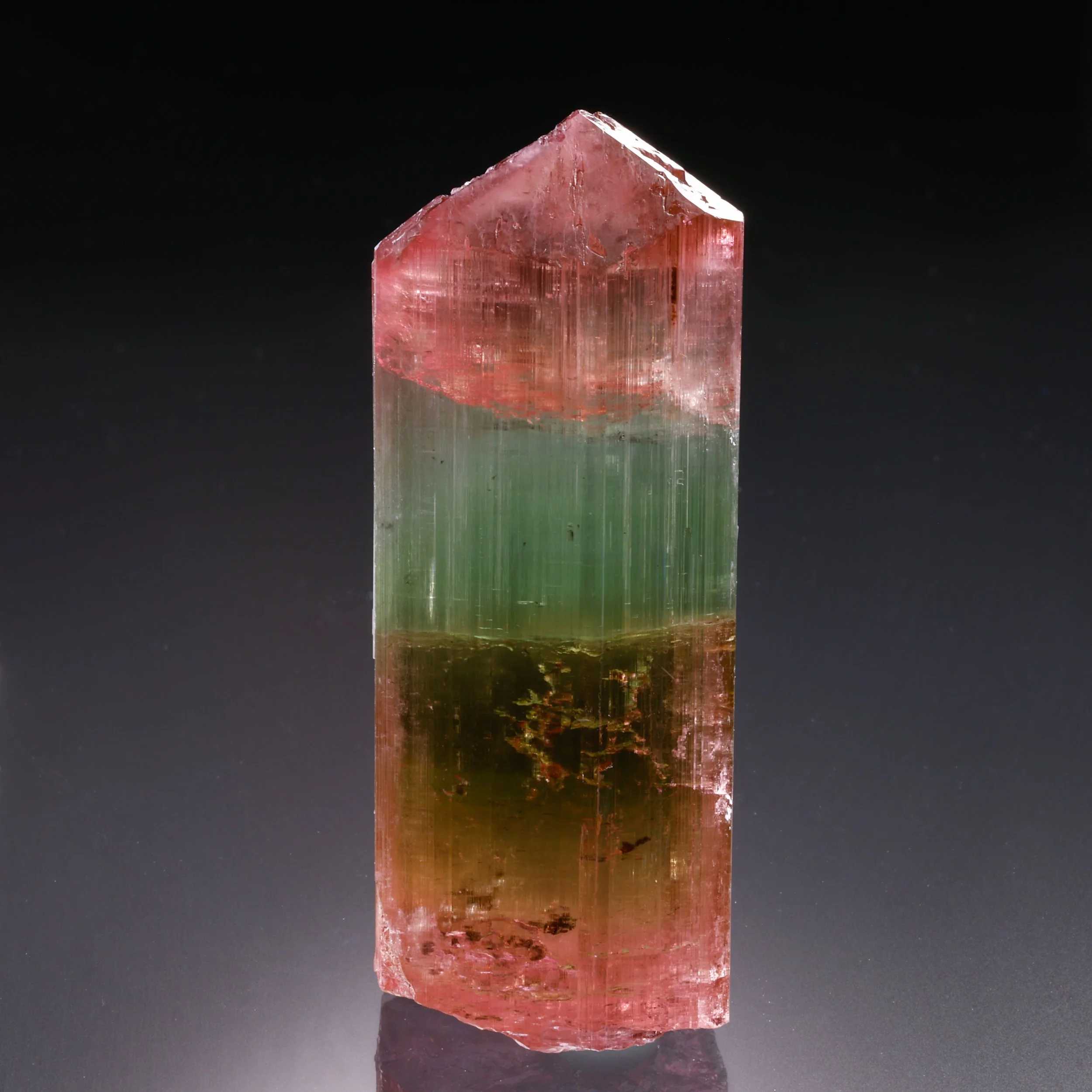Himalaya Cats Eye.jpg