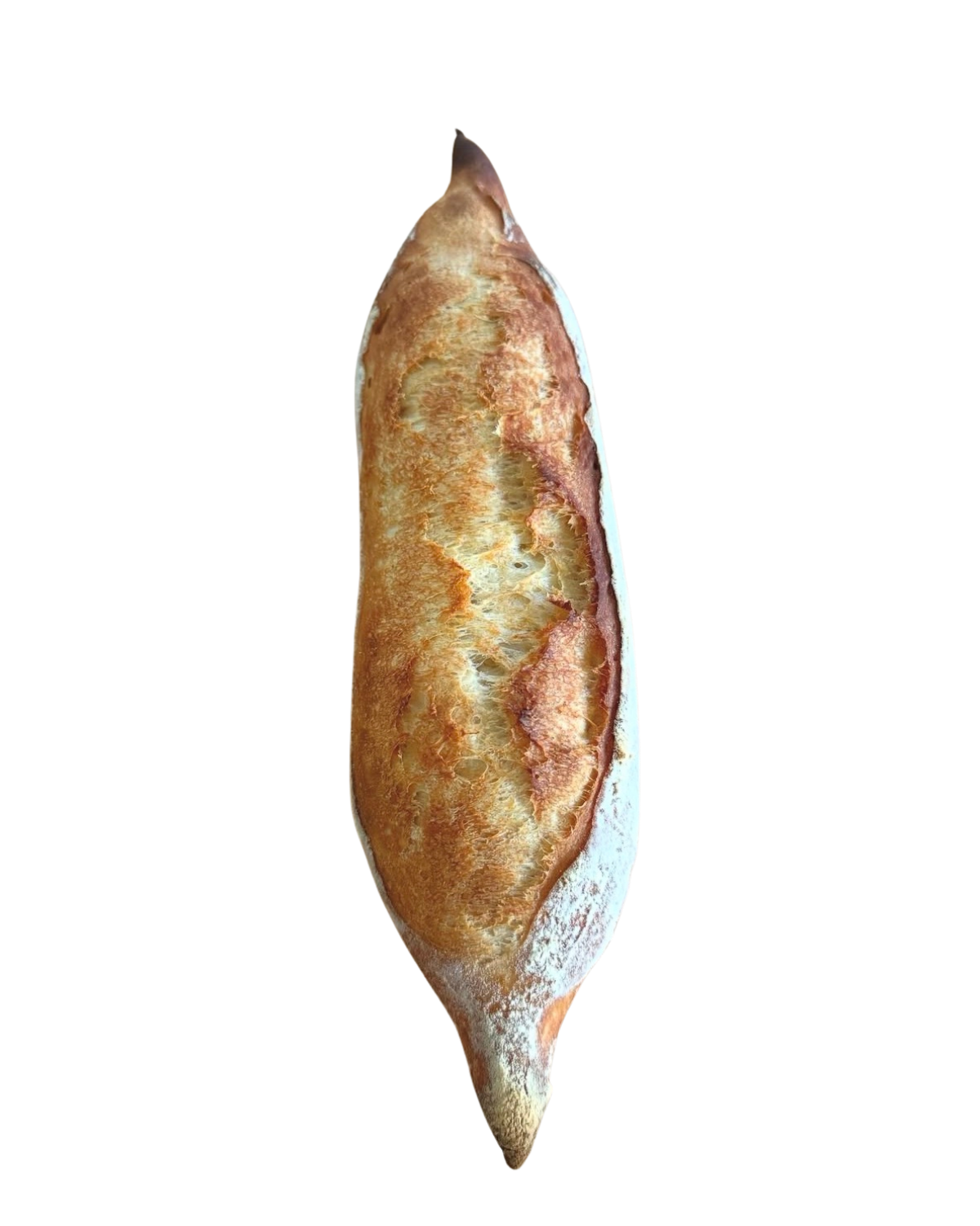 BAGUETTE & PITA WORKSHOP