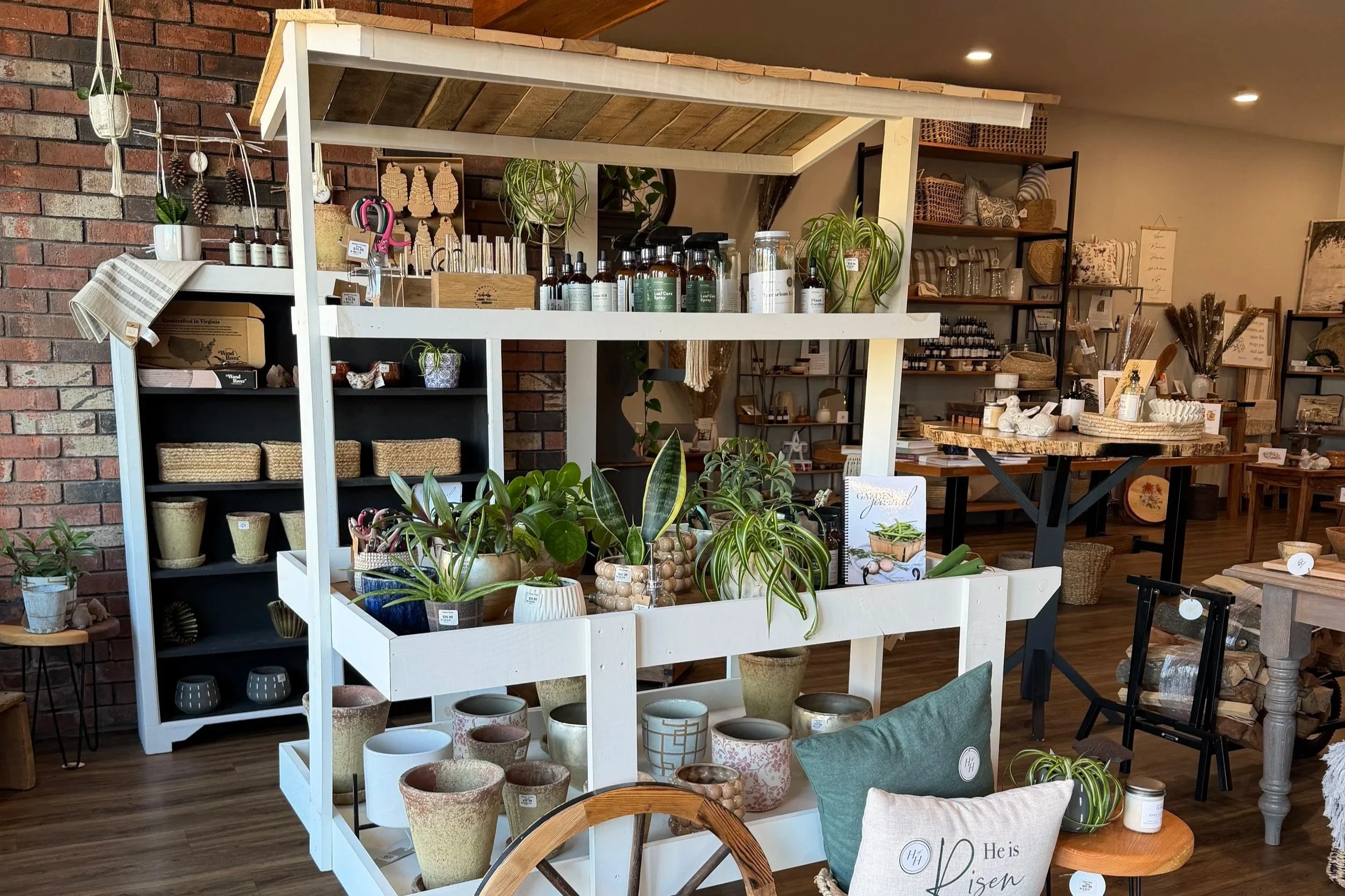 Gift shop in Elkton VA Fresh Potted Plants