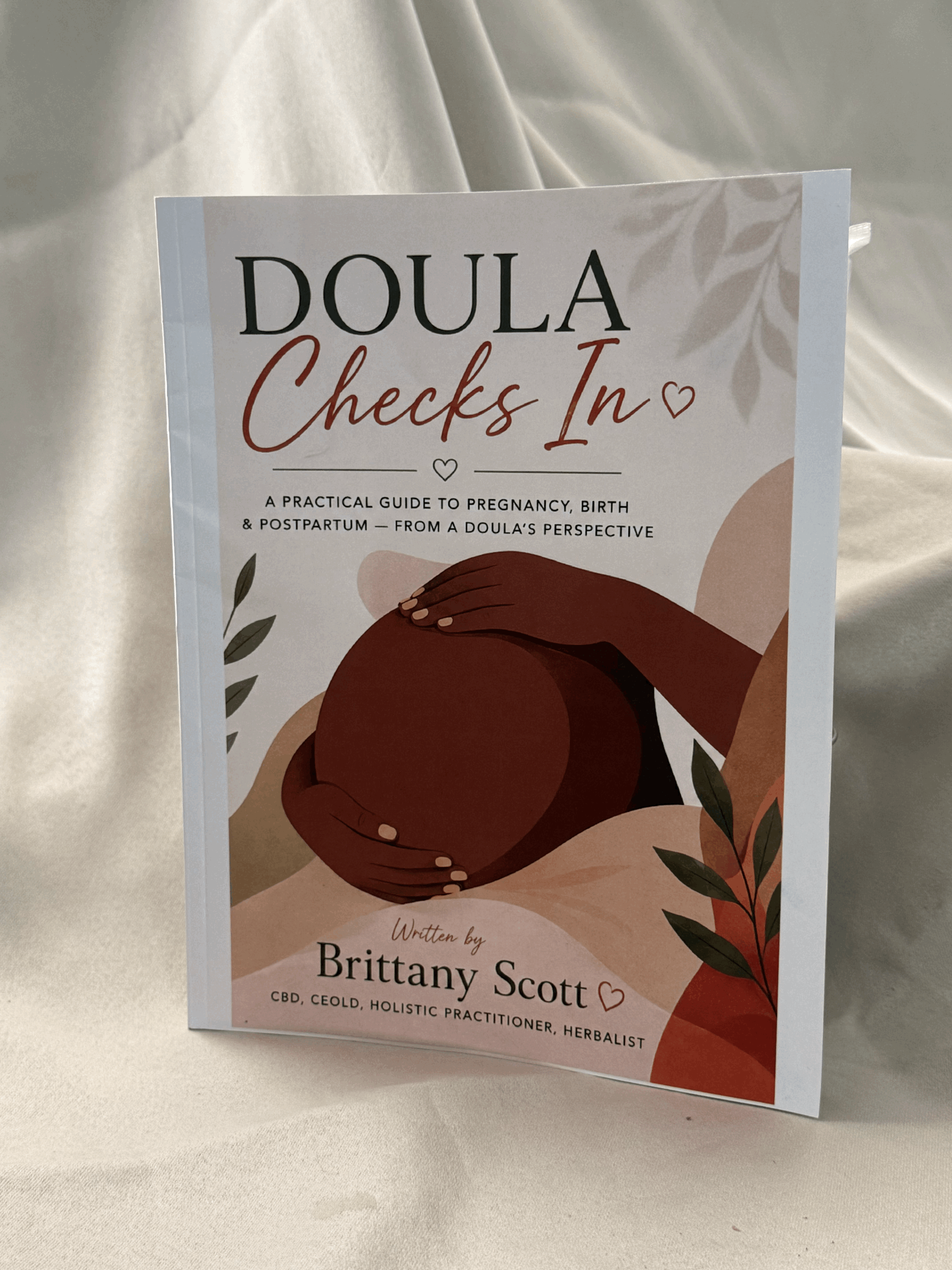Doula Checks in (Paperback )