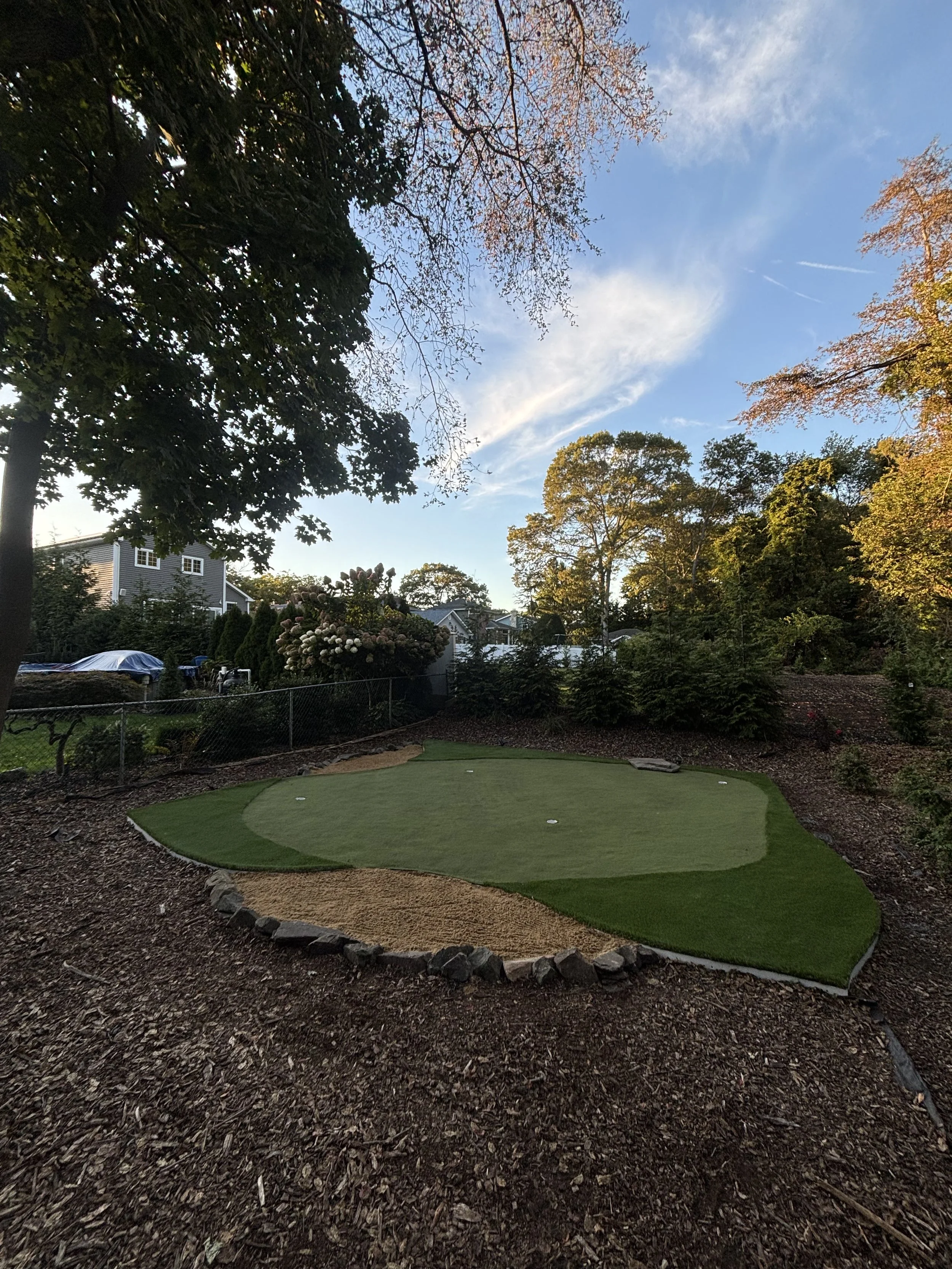A backyard with a small putting green surrounded by mulch and rocks, with trees and houses in the background under a partly cloudy sky.