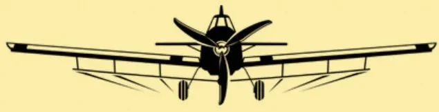 SkyForge Aircraft Detailing