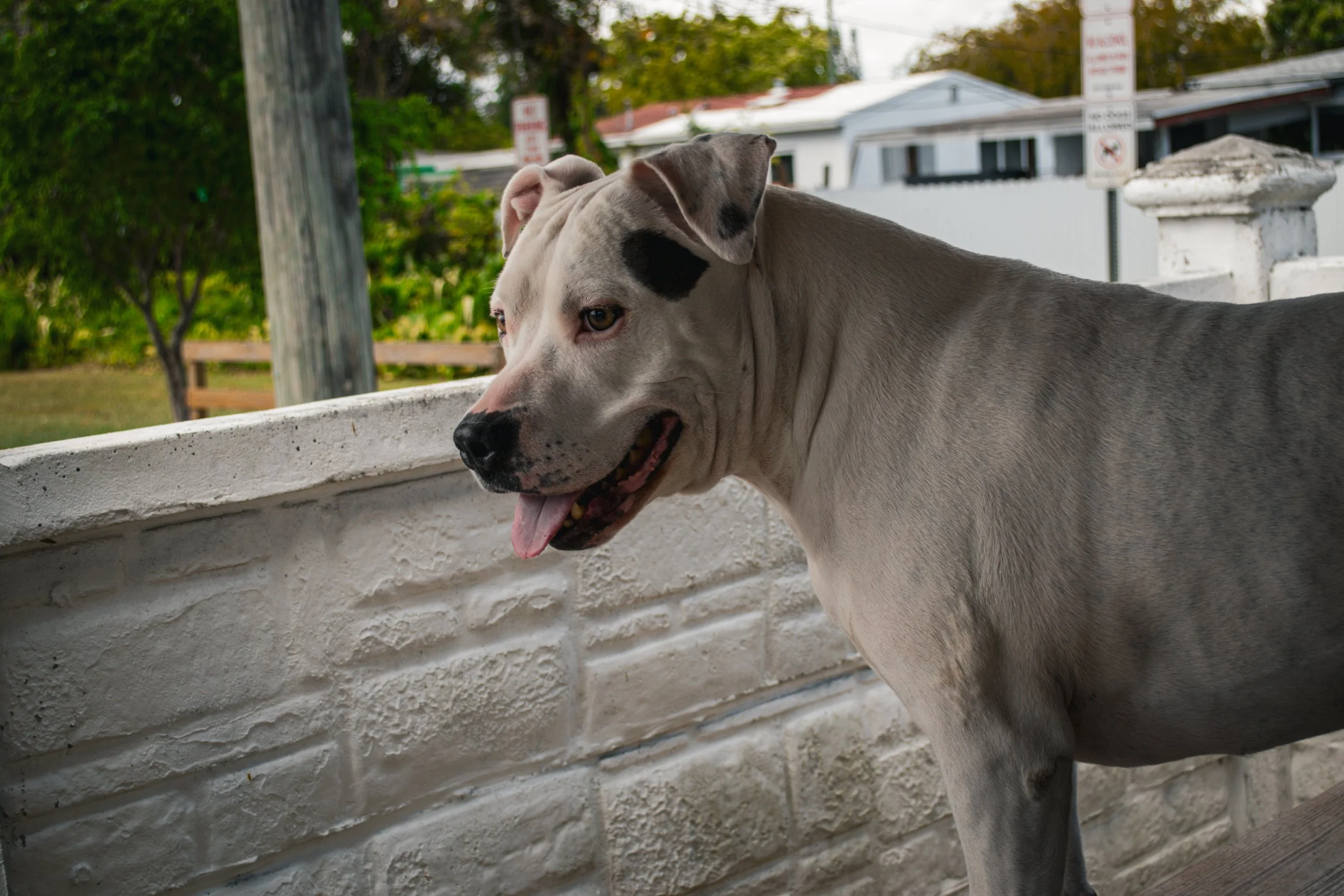 Digital Camera,
Year 2024