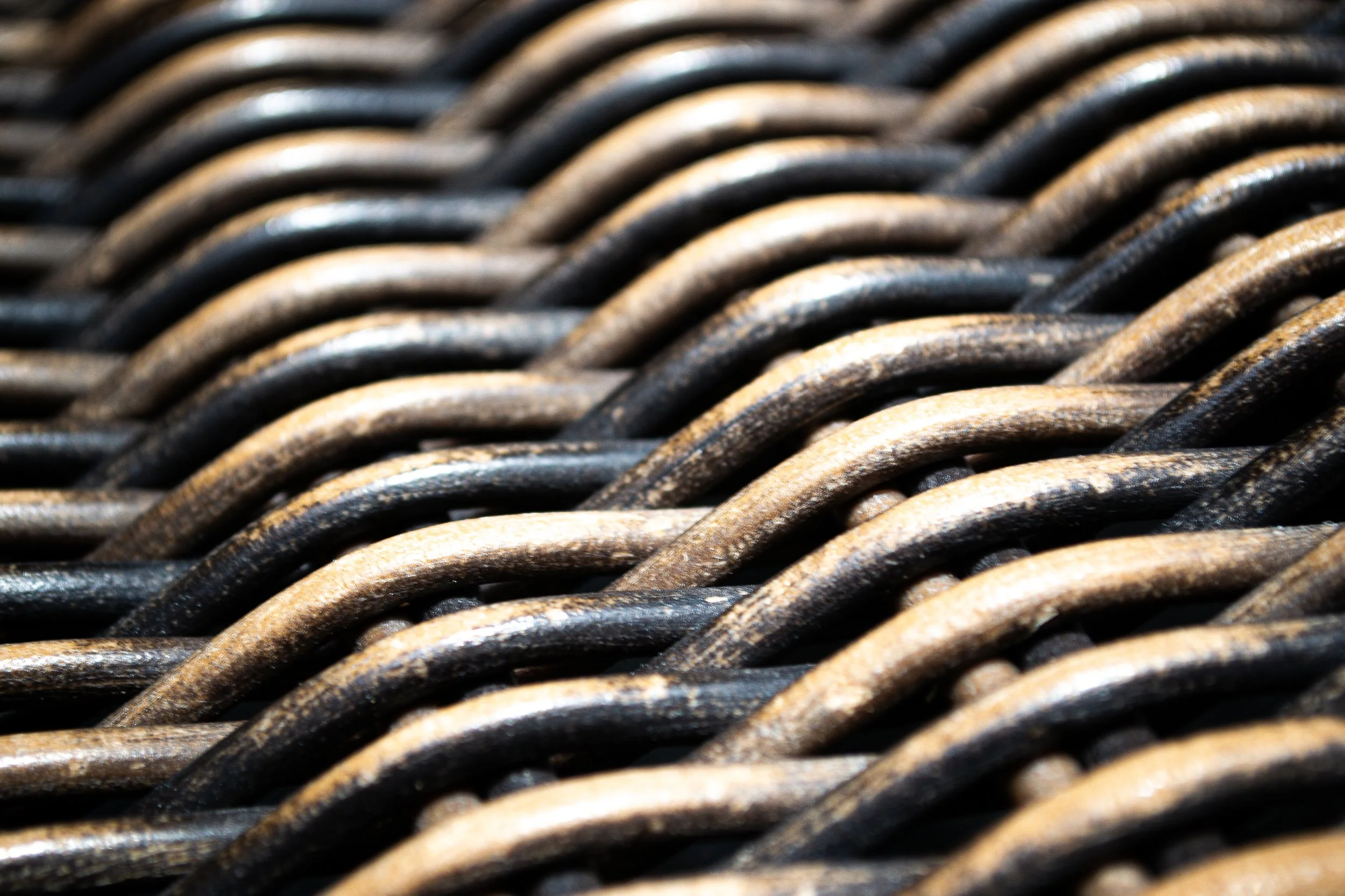 Digital Camera,
Year 2024